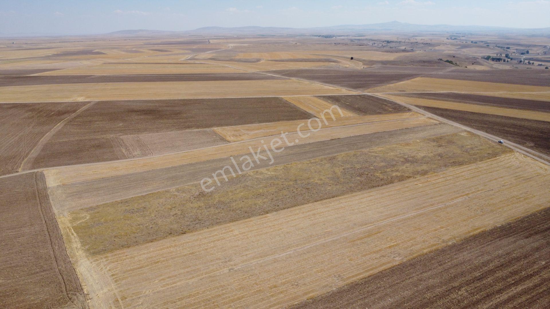 Nevşehir Kozaklı Gerce Köyünde Resmi Yola Cephe 16280 M2 Arazi - Görsel 7