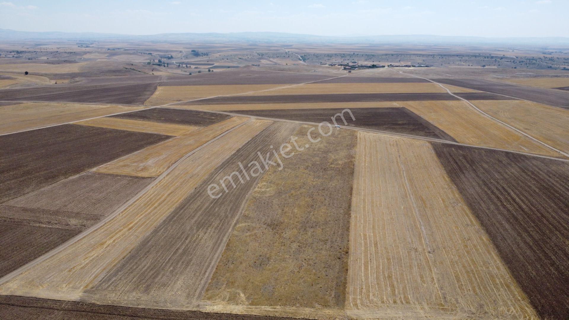 Nevşehir Kozaklı Gerce Köyünde Resmi Yola Cephe 16280 M2 Arazi - Görsel 3