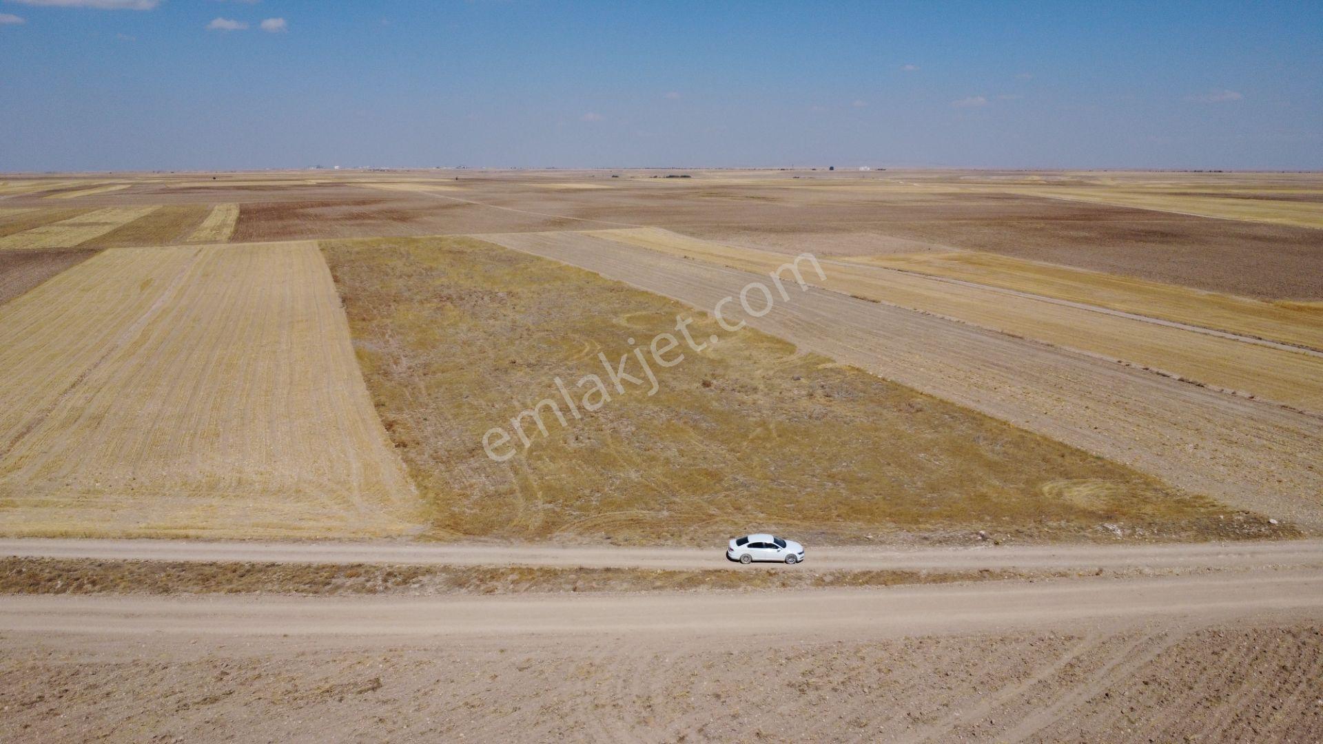 Nevşehir Kozaklı Gerce Köyünde Resmi Yola Cephe 16280 M2 Arazi - Görsel 36