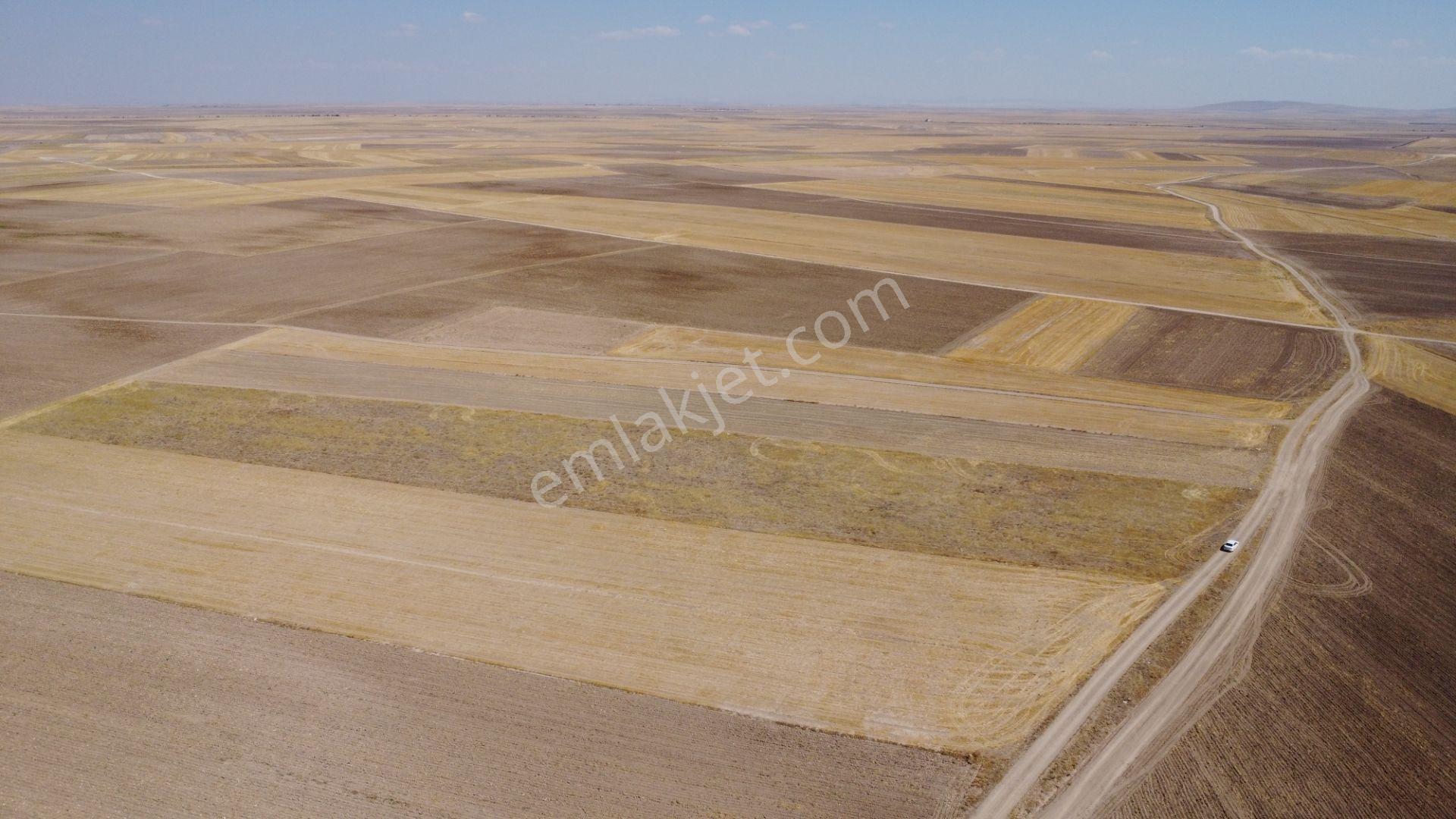 Nevşehir Kozaklı Gerce Köyünde Resmi Yola Cephe 16280 M2 Arazi - Görsel 9
