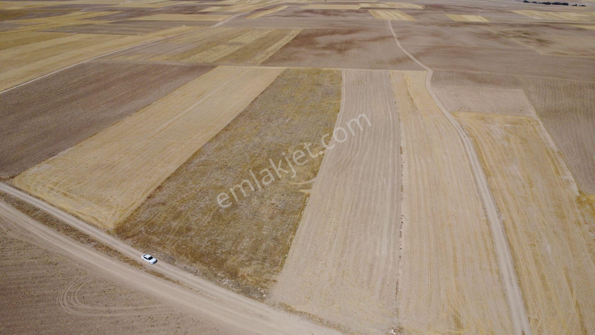 Nevşehir Kozaklı Gerce Köyünde Resmi Yola Cephe 16280 M2 Arazi - Görsel 16