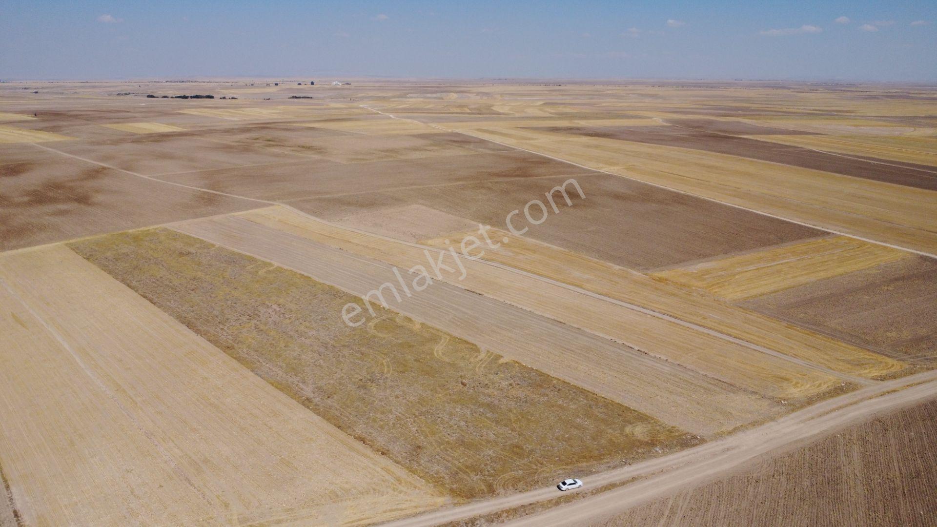 Nevşehir Kozaklı Gerce Köyünde Resmi Yola Cephe 16280 M2 Arazi - Görsel 11