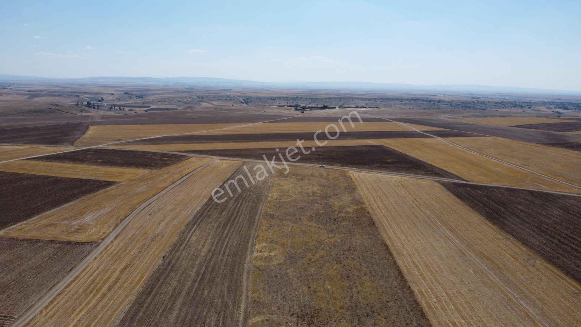 Nevşehir Kozaklı Gerce Köyünde Resmi Yola Cephe 16280 M2 Arazi - Görsel 30