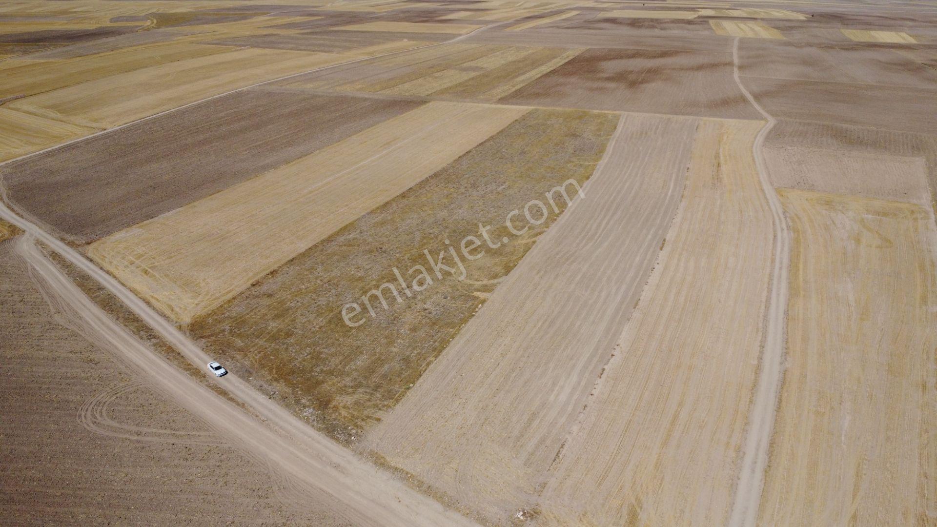 Nevşehir Kozaklı Gerce Köyünde Resmi Yola Cephe 16280 M2 Arazi - Görsel 17