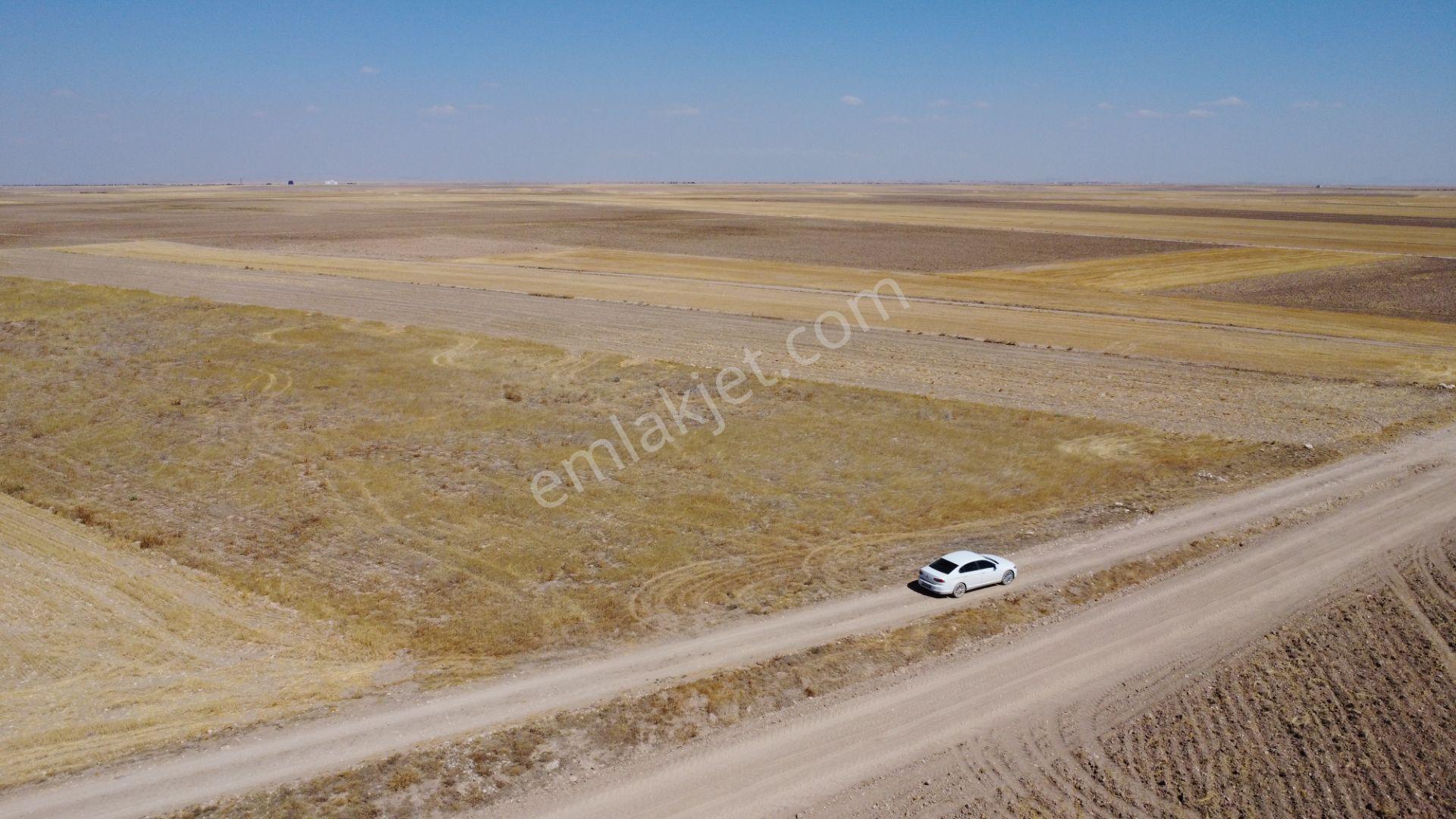 Nevşehir Kozaklı Gerce Köyünde Resmi Yola Cephe 16280 M2 Arazi - Görsel 38