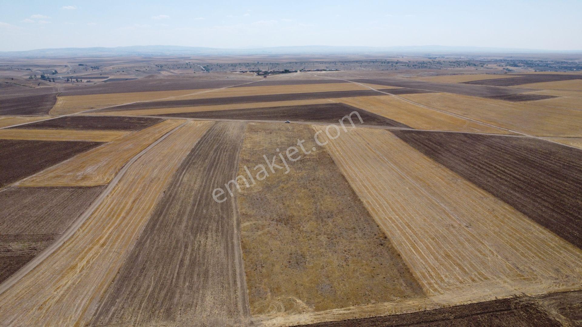 Nevşehir Kozaklı Gerce Köyünde Resmi Yola Cephe 16280 M2 Arazi - Görsel 27