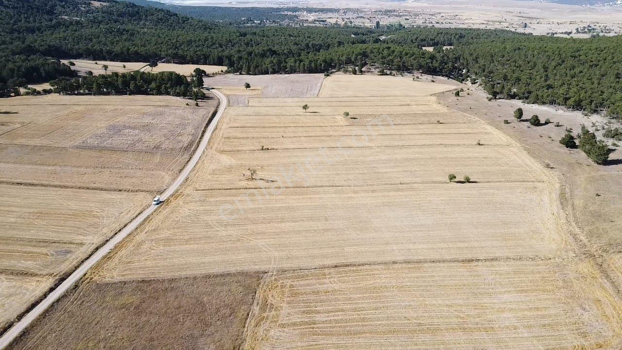 Sahibinden Satılık Fırsat Arazi 10585 M2 Kırka Belediye 5 Km - Görsel 7