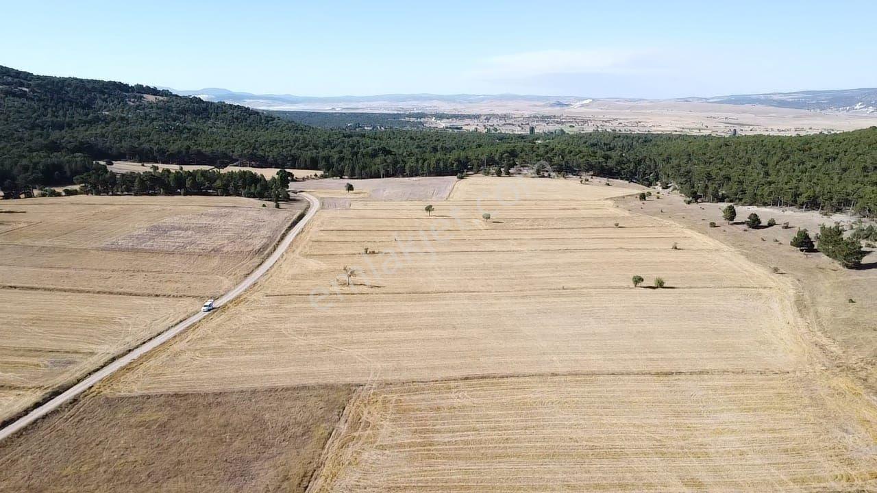 Sahibinden Satılık Fırsat Arazi 10585 M2 Kırka Belediye 5 Km - Görsel 19