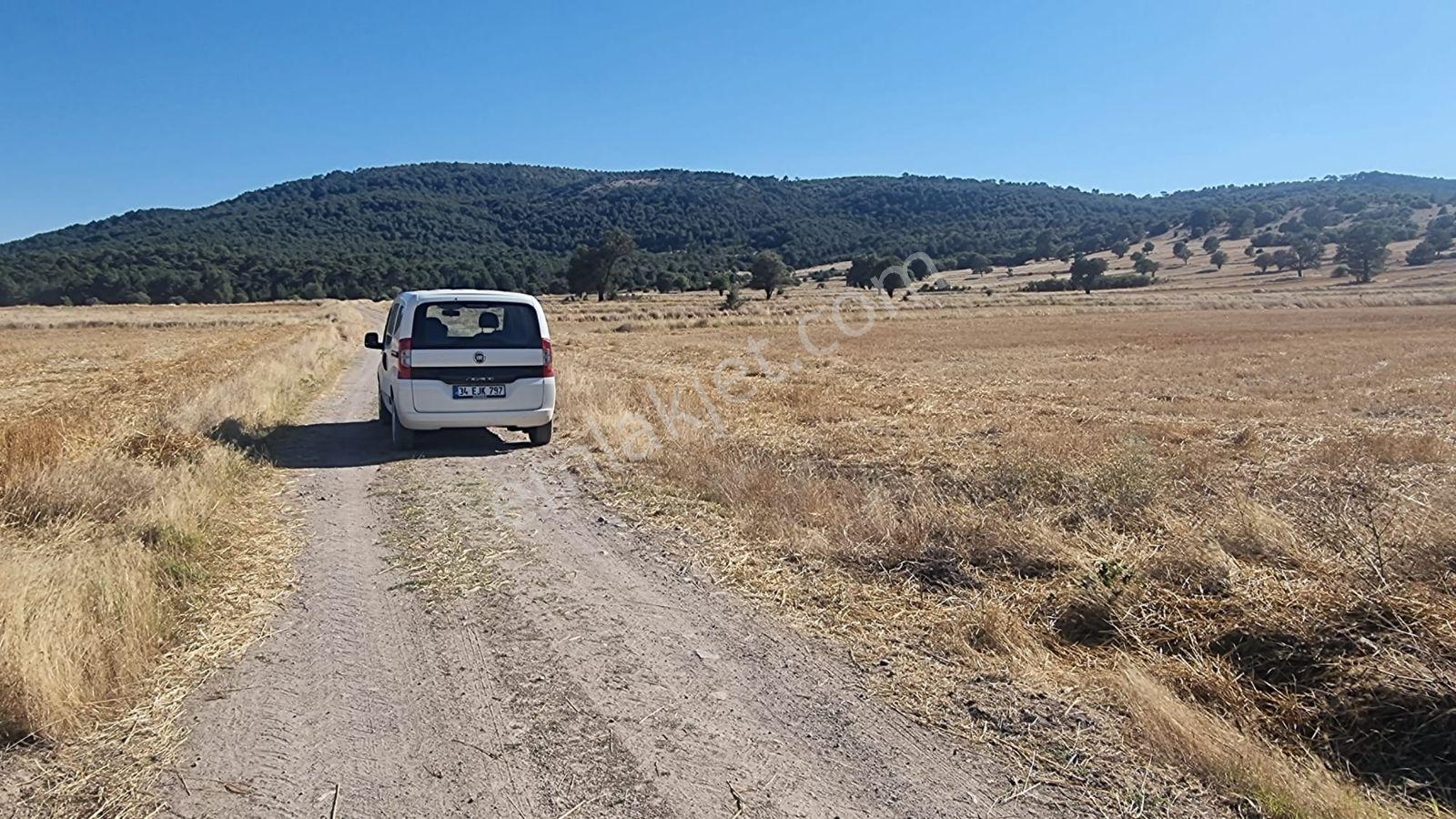 Sahibinden Satılık Fırsat Arazi 10585 M2 Kırka Belediye 5 Km - Görsel 3