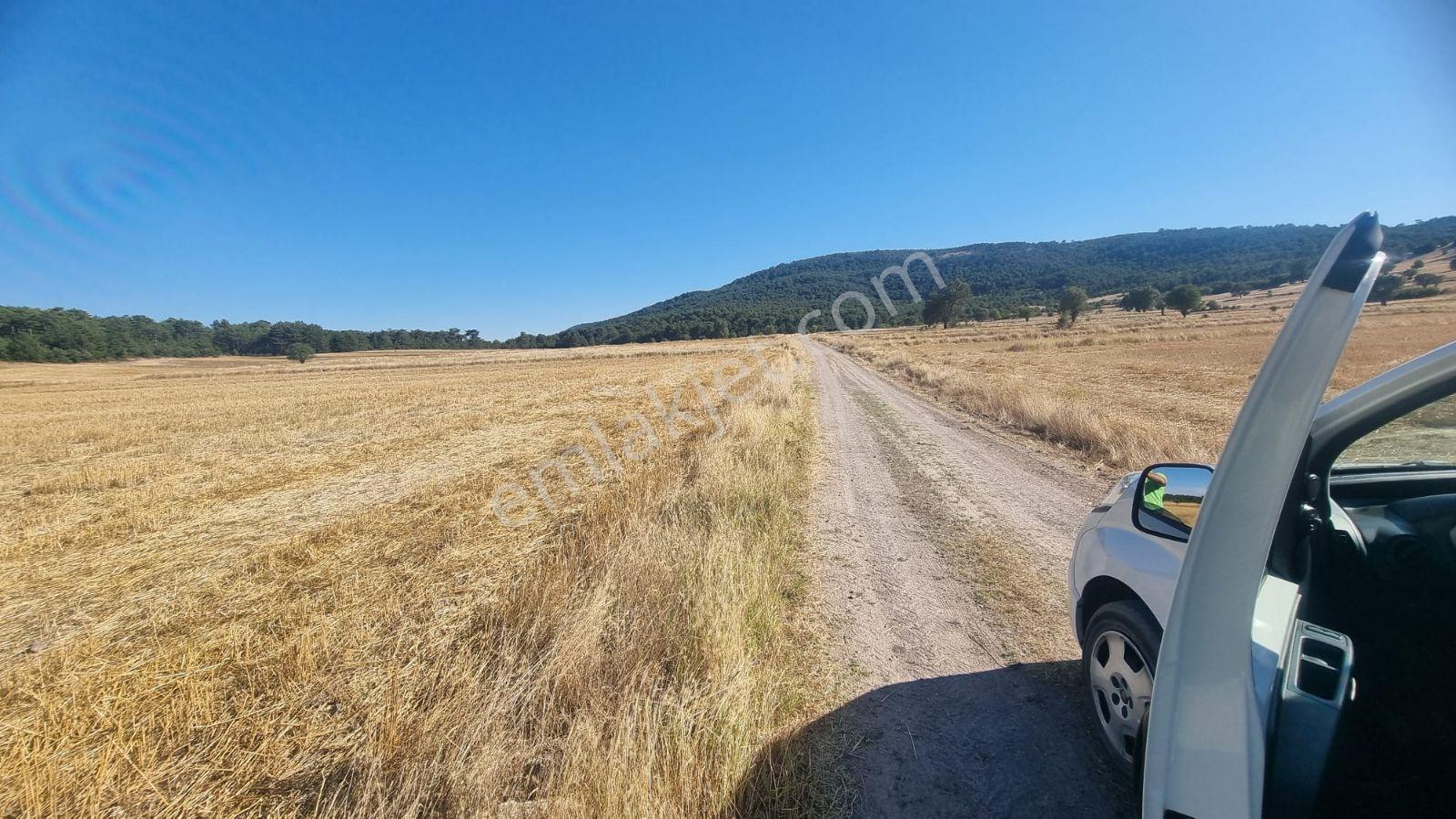 Sahibinden Satılık Fırsat Arazi 10585 M2 Kırka Belediye 5 Km - Görsel 2