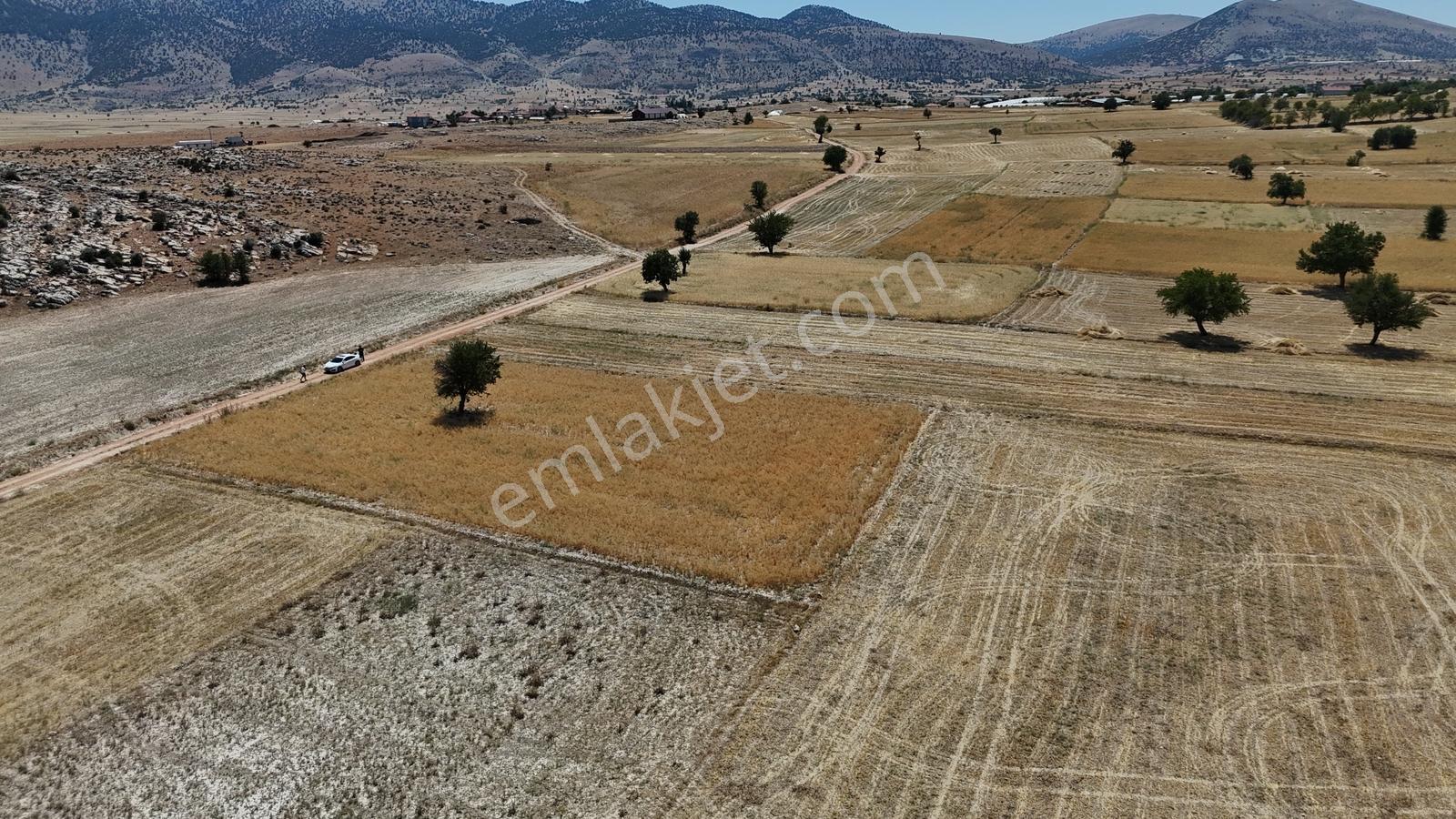 Antalya Elmalı Büyüksöğle 2721m2 Köye 750 Metre Resmi Yola Cephe - Görsel 22