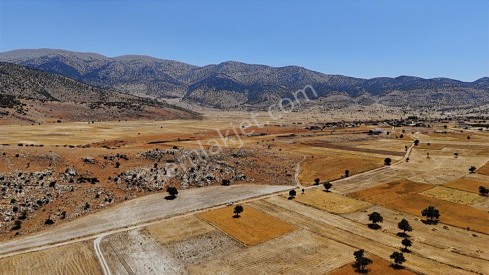 Antalya Elmalı Büyüksöğle 2721m2 Köye 750 Metre Resmi Yola Cephe - Görsel 32