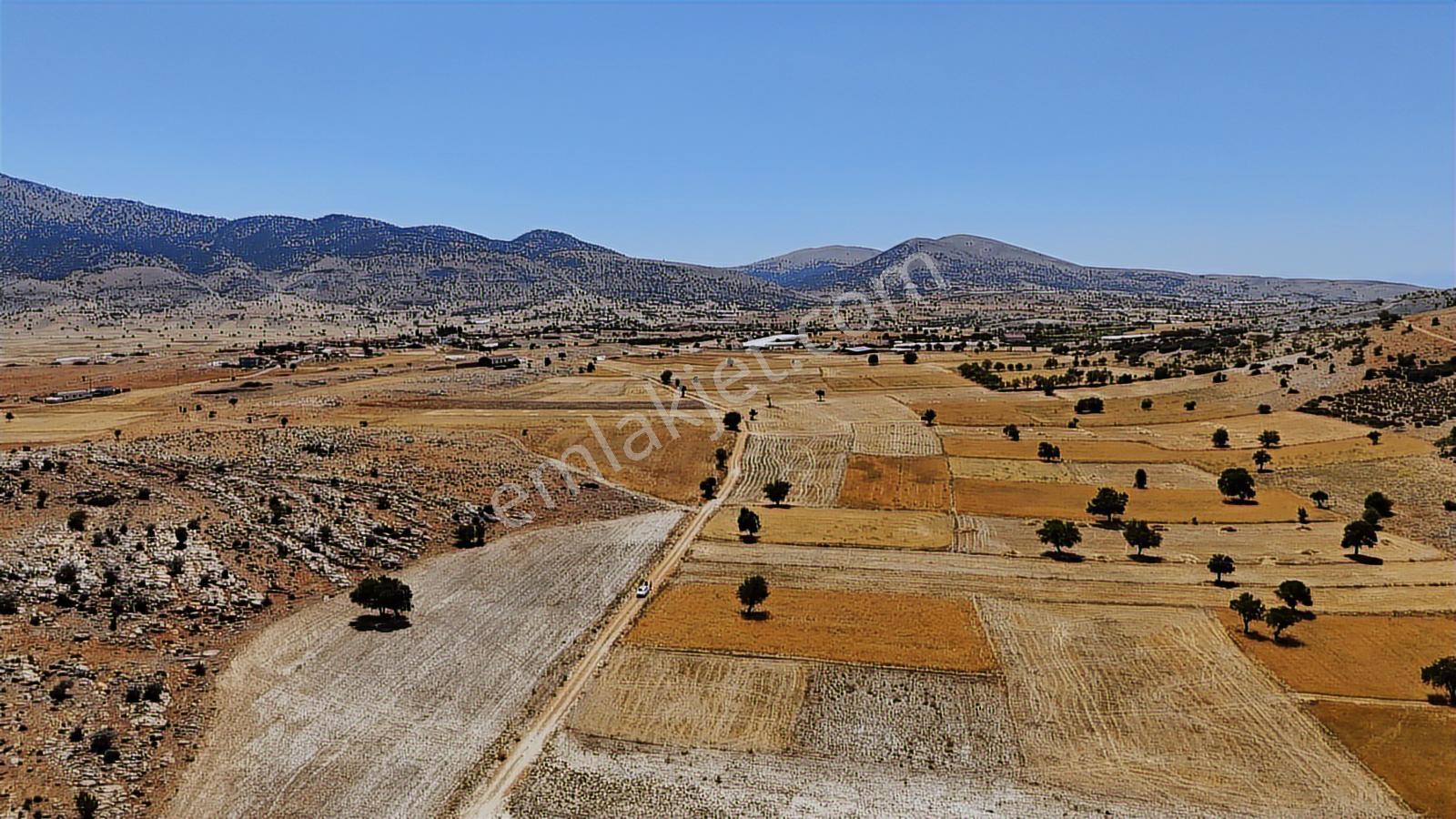 Antalya Elmalı Büyüksöğle 2721m2 Köye 750 Metre Resmi Yola Cephe - Görsel 36