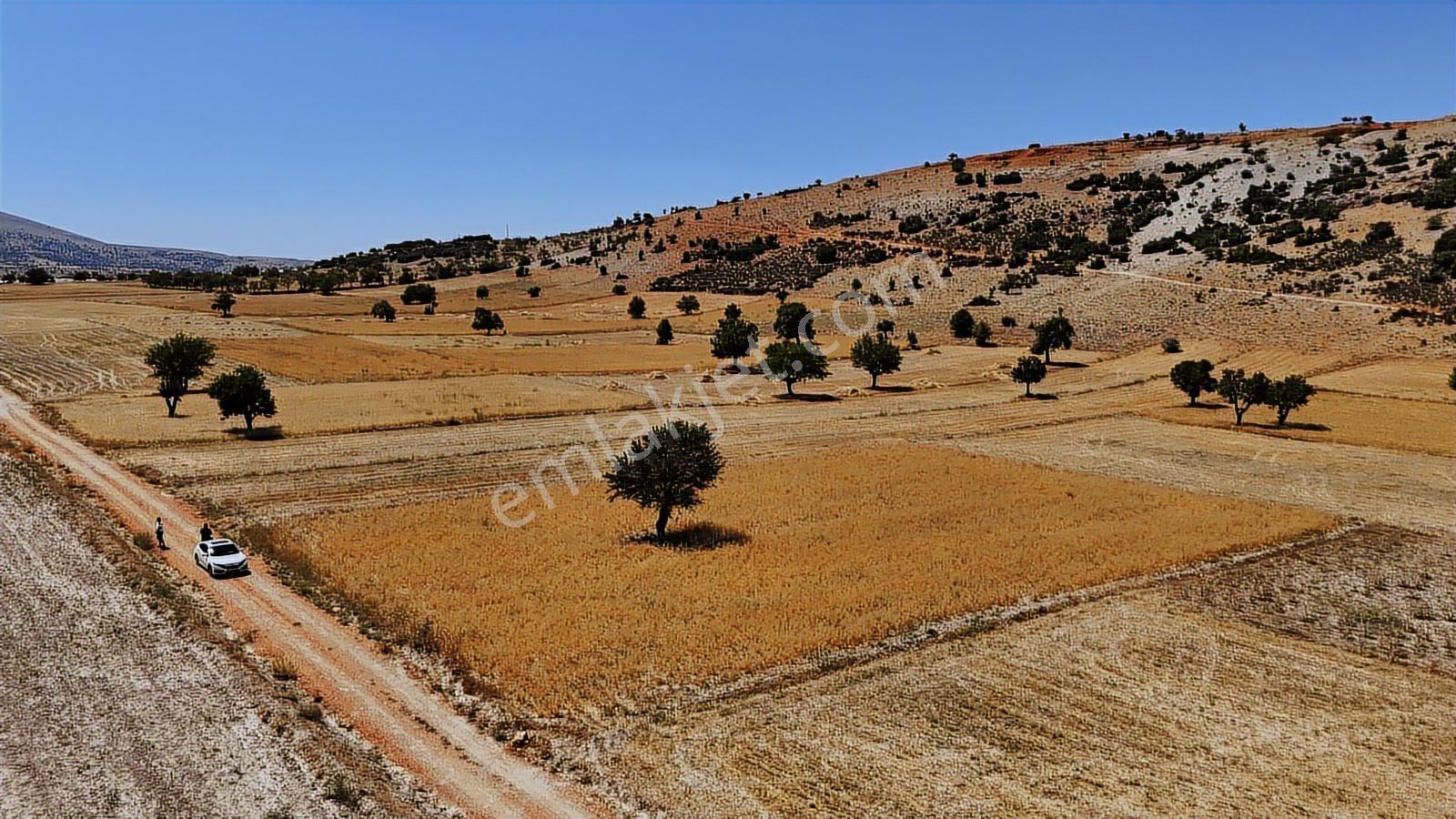 Antalya Elmalı Büyüksöğle 2721m2 Köye 750 Metre Resmi Yola Cephe - Görsel 38
