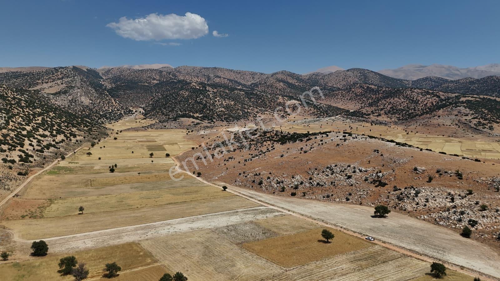 Antalya Elmalı Büyüksöğle 2721m2 Köye 750 Metre Resmi Yola Cephe - Görsel 45