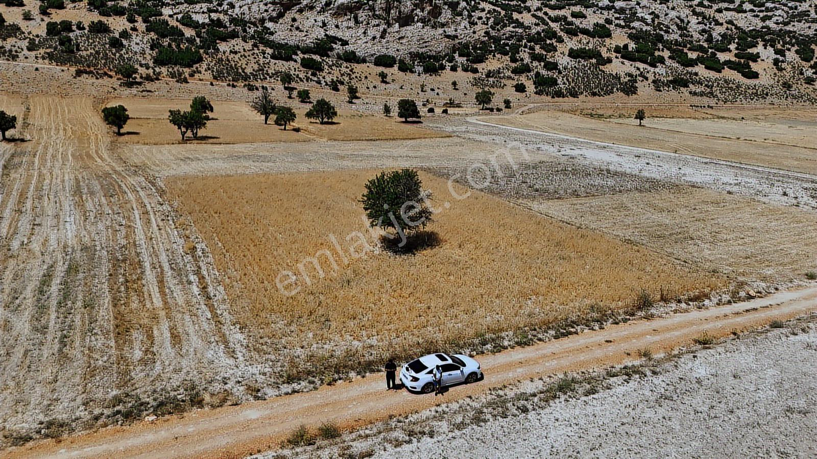 Antalya Elmalı Büyüksöğle 2721m2 Köye 750 Metre Resmi Yola Cephe - Görsel 29