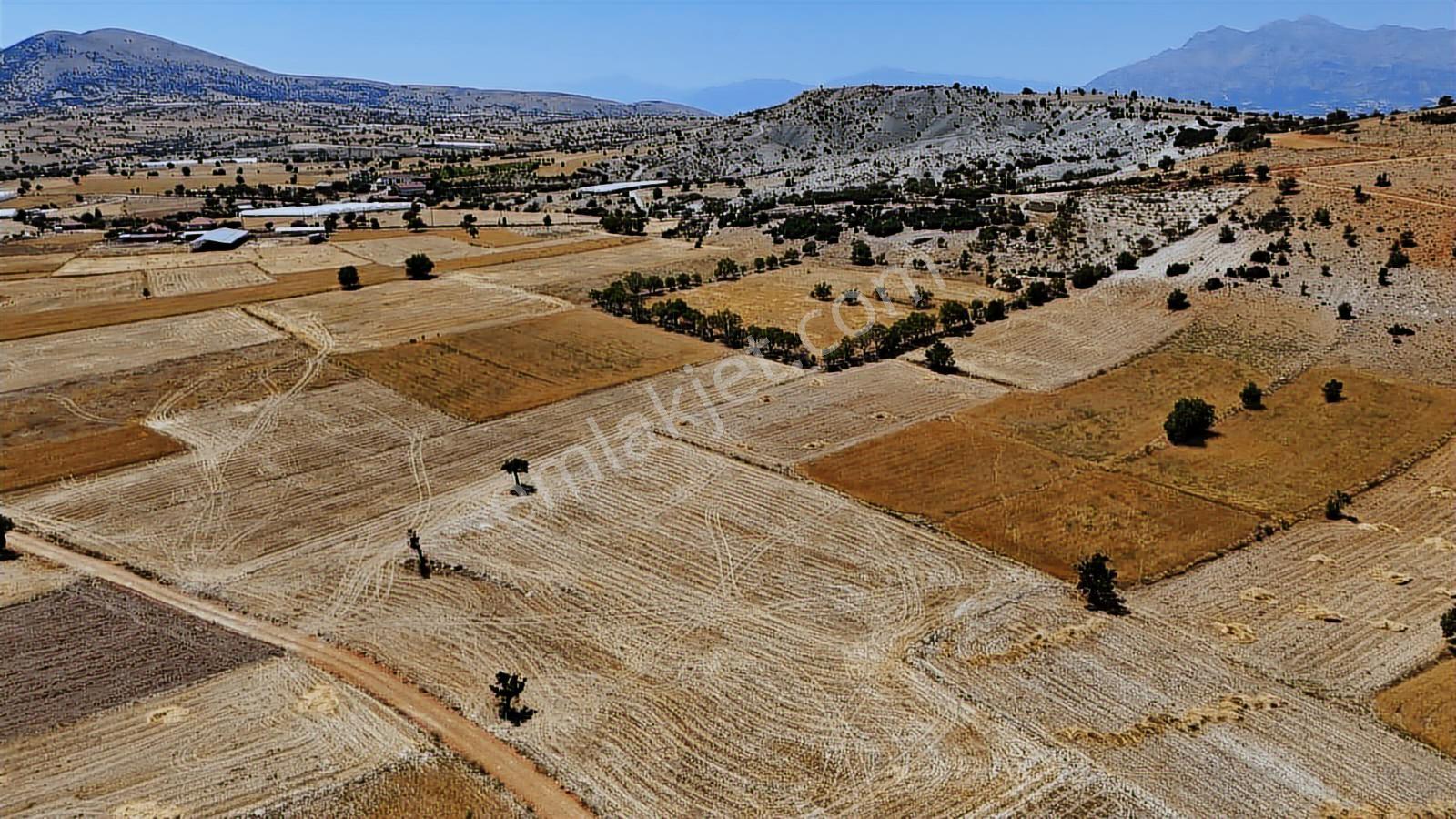 Antalya Elmalı Büyüksöğle 2721m2 Köye 750 Metre Resmi Yola Cephe - Görsel 18