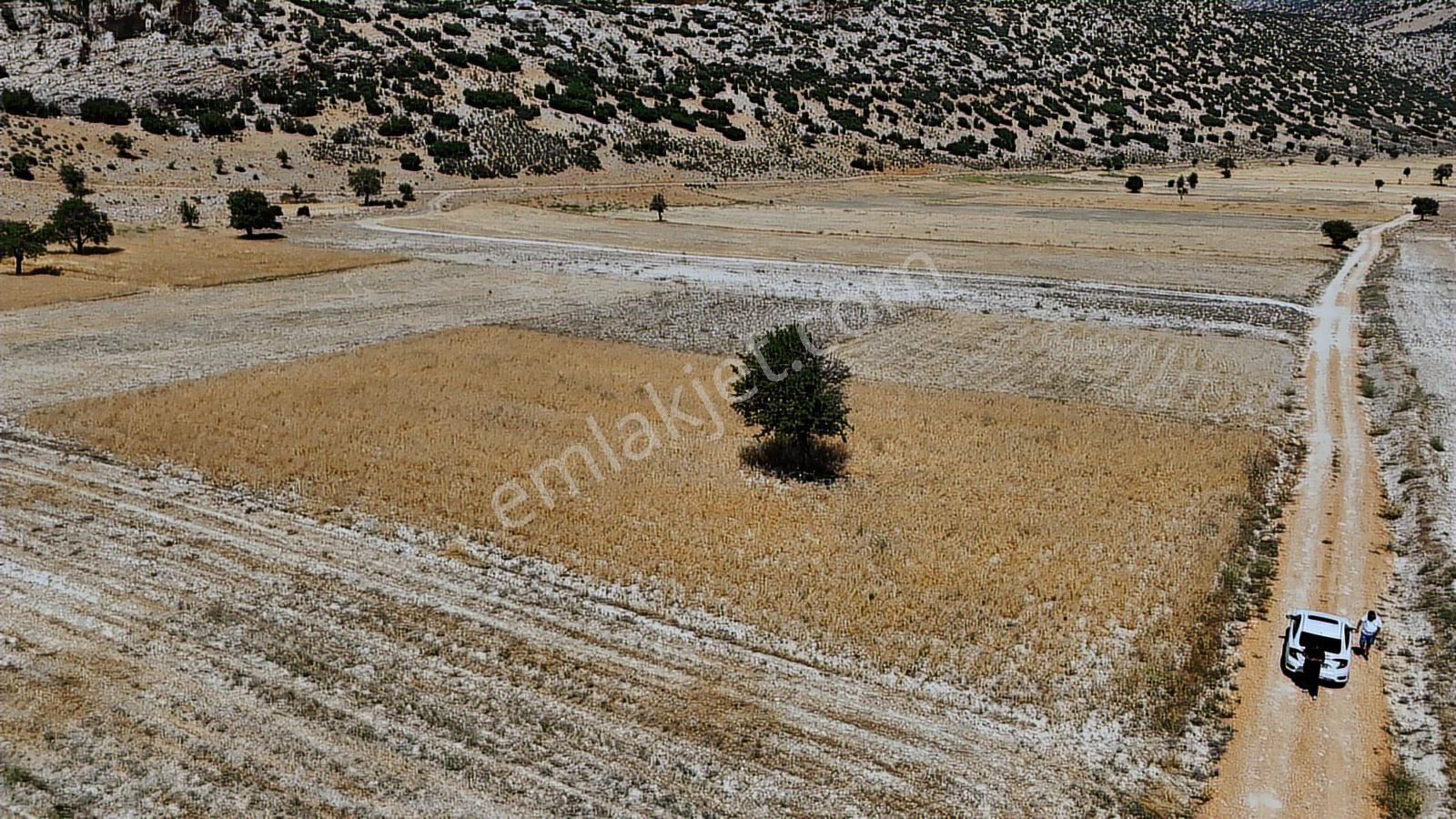 Antalya Elmalı Büyüksöğle 2721m2 Köye 750 Metre Resmi Yola Cephe - Görsel 12