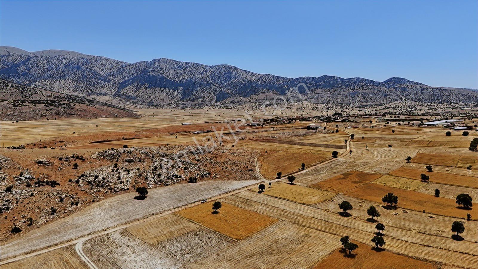 Antalya Elmalı Büyüksöğle 2721m2 Köye 750 Metre Resmi Yola Cephe - Görsel 33