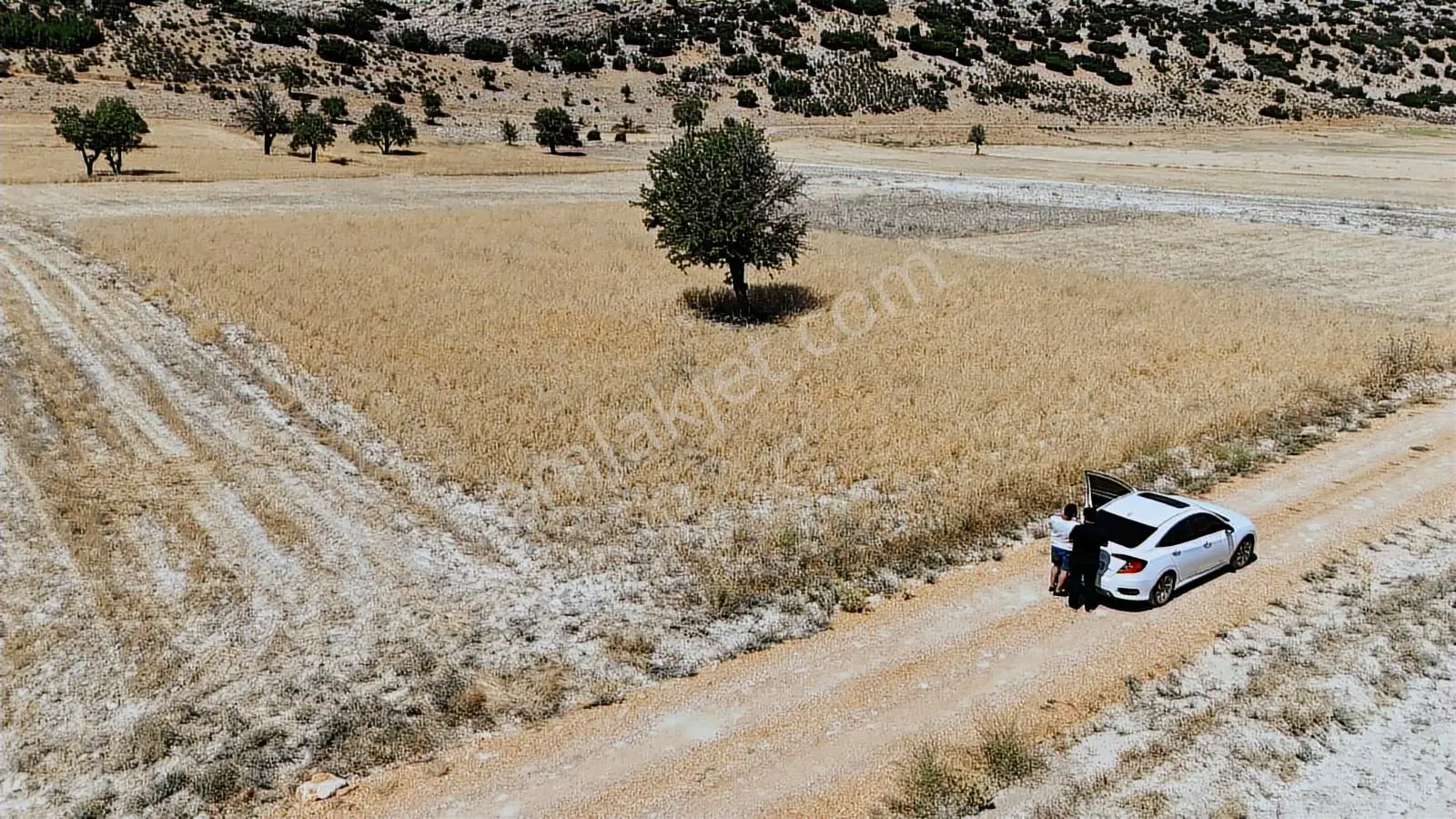 Antalya Elmalı Büyüksöğle 2721m2 Köye 750 Metre Resmi Yola Cephe - Görsel 13