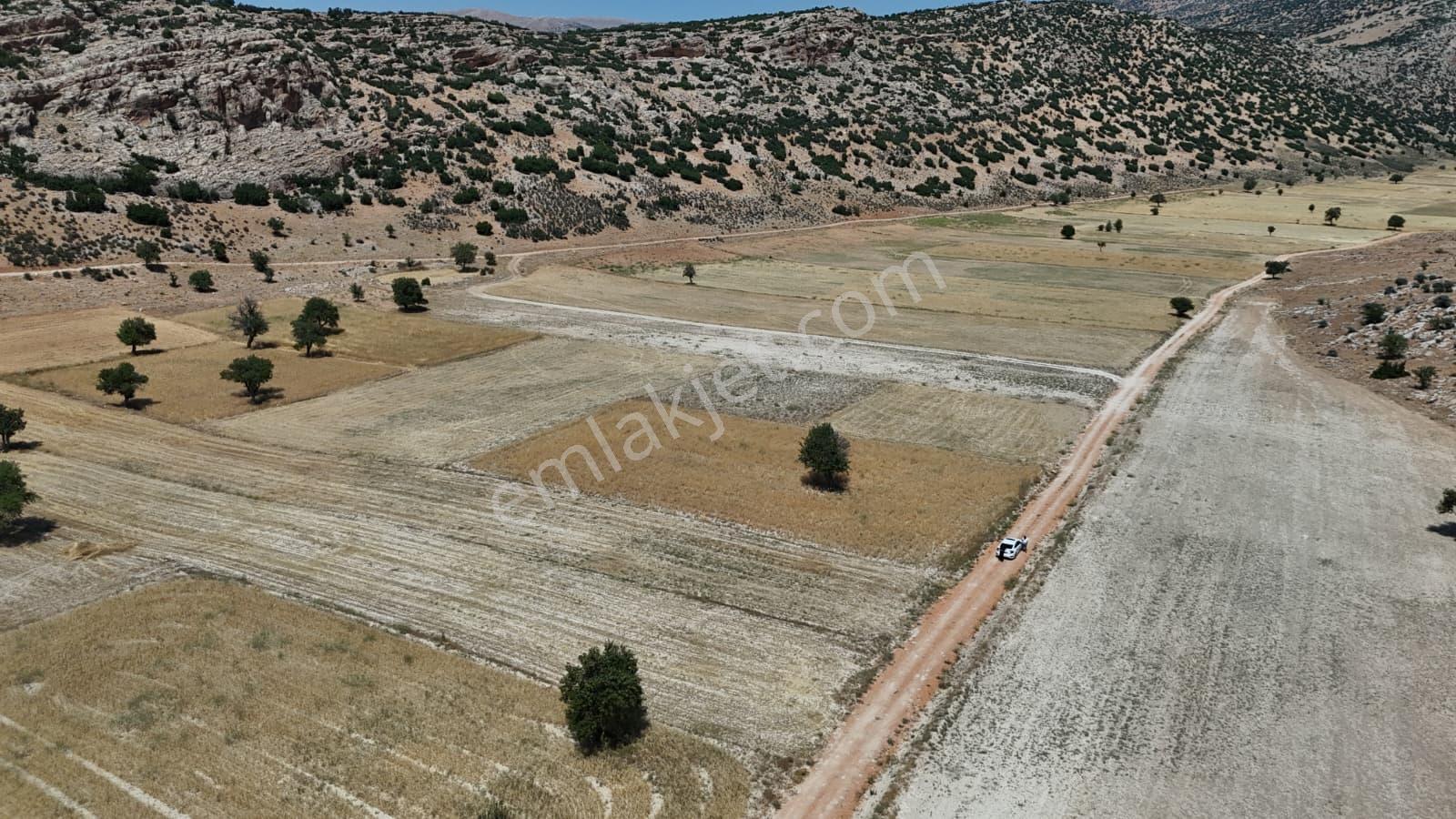 Antalya Elmalı Büyüksöğle 2721m2 Köye 750 Metre Resmi Yola Cephe - Görsel 16