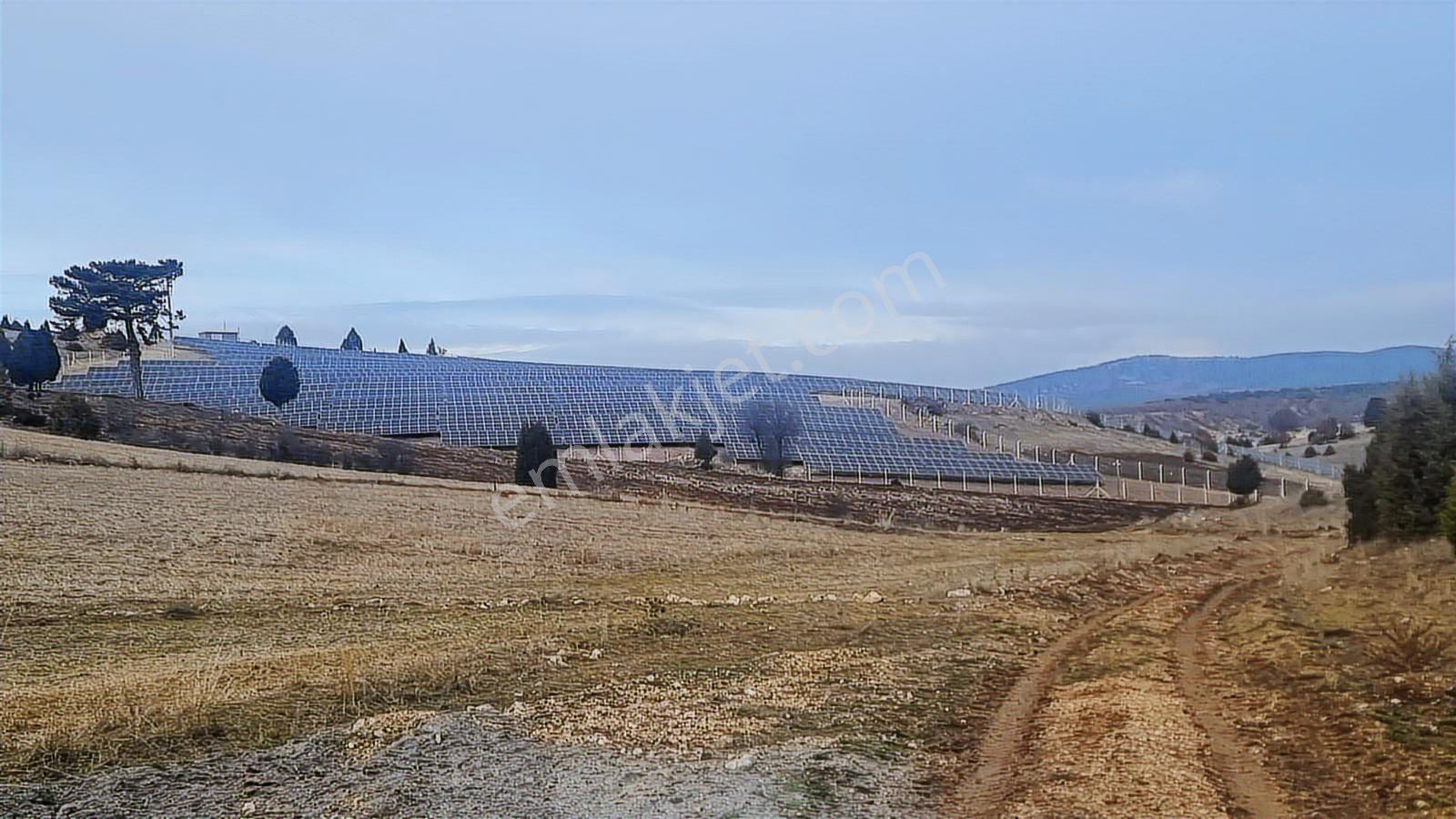 Kütahya Merkez Göçeri Köyü 5830 Metre Tarla - Görsel 21