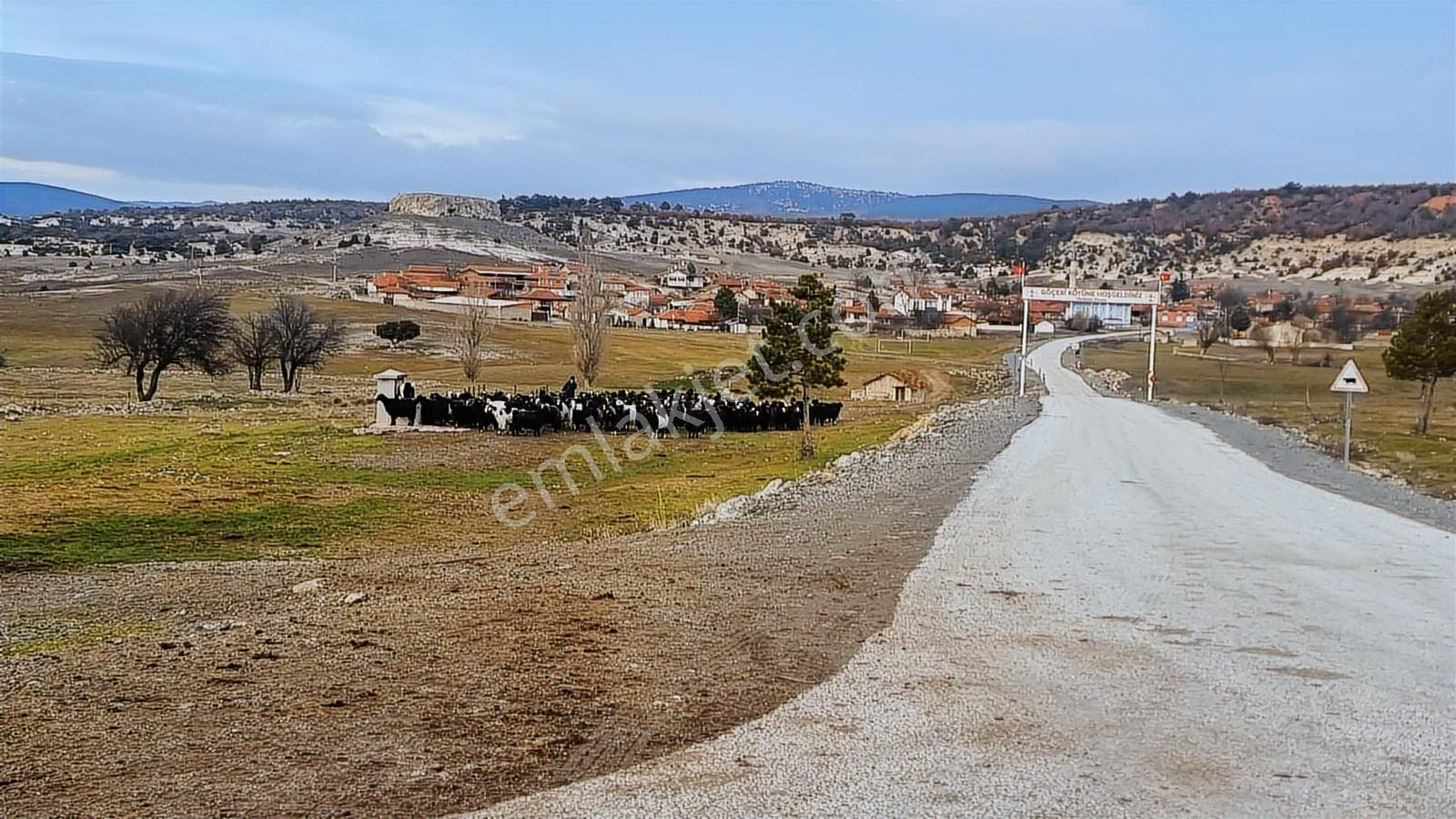 Kütahya Merkez Göçeri Köyü 5830 Metre Tarla