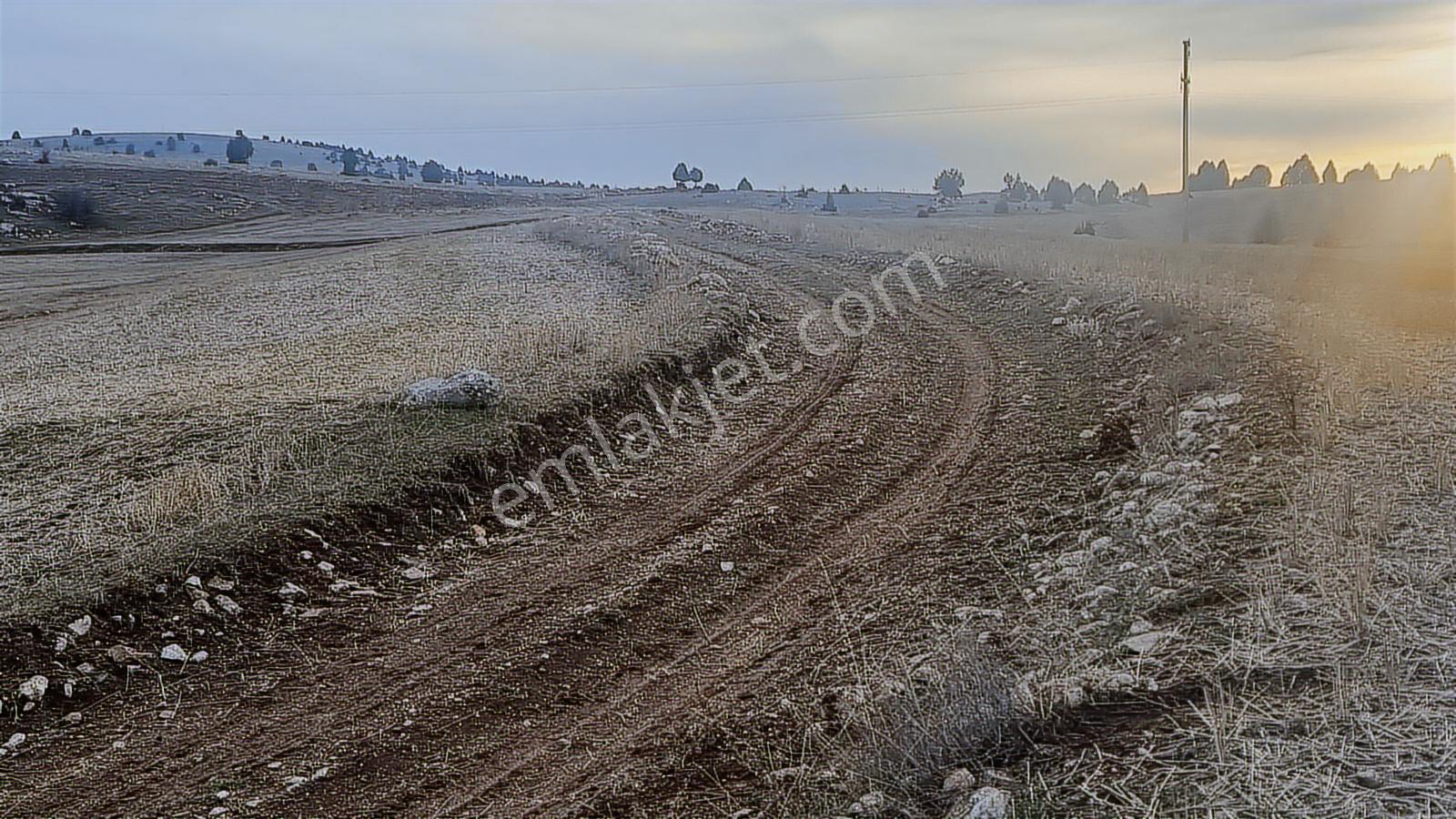 Kütahya Merkez Göçeri Köyü 5830 Metre Tarla - Görsel 18