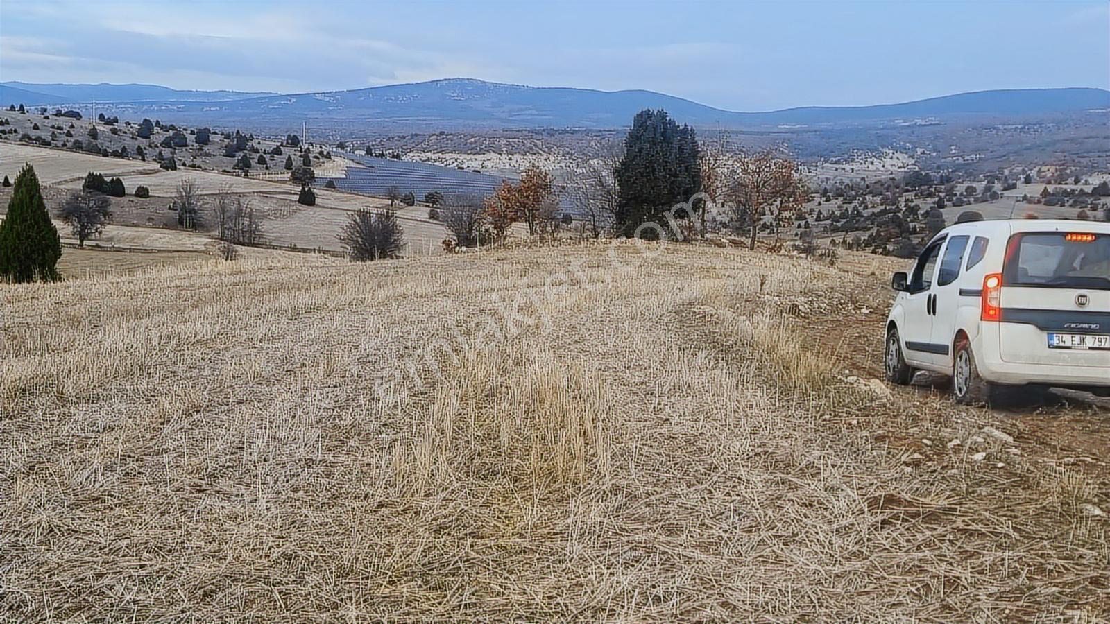 Kütahya Merkez Göçeri Köyü 5830 Metre Tarla - Görsel 6