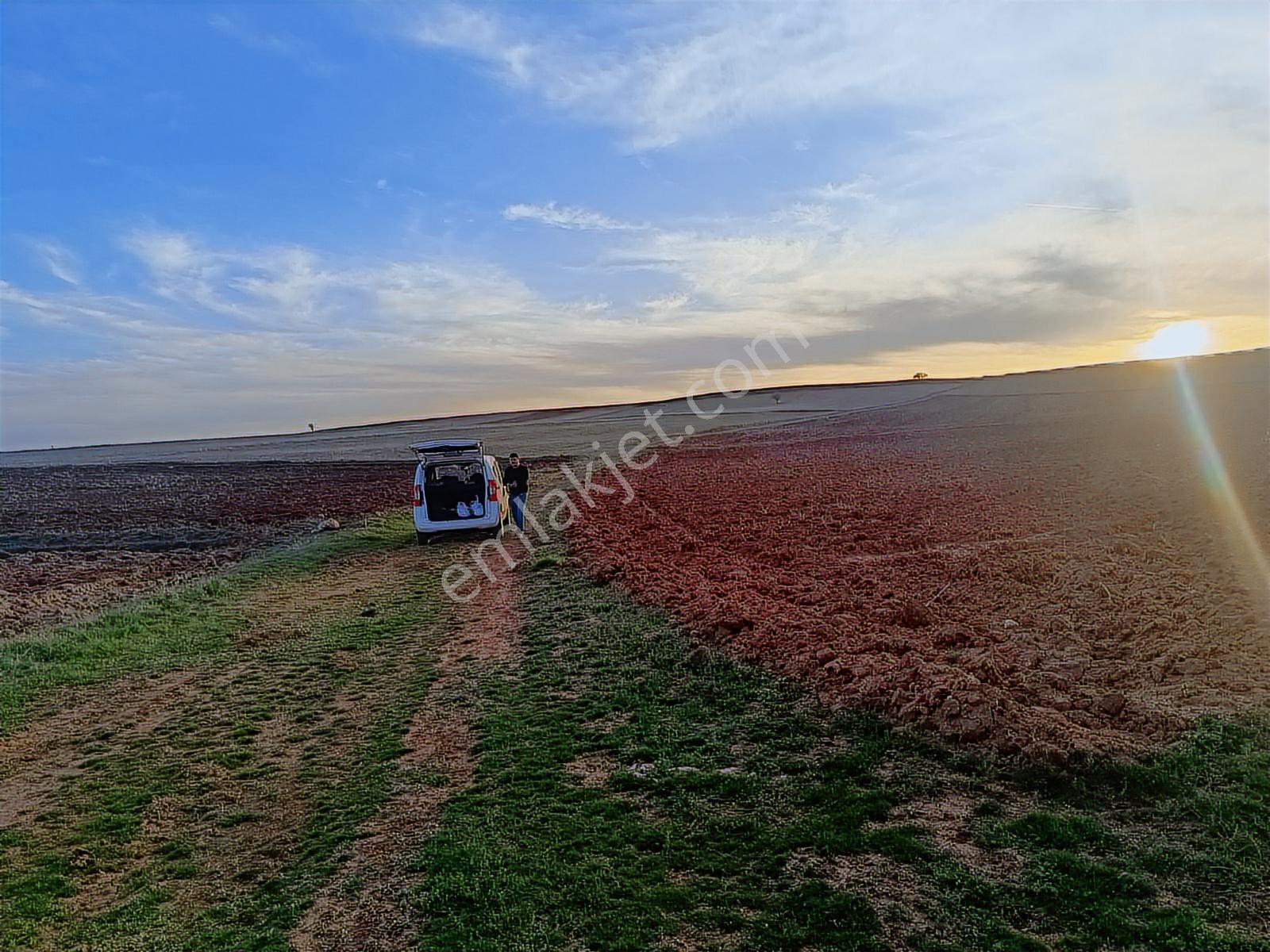 Afyon Merkez Çıkrık Beldesi Resmi Yola Cepheli 5991 Metre Tarla - Görsel 11