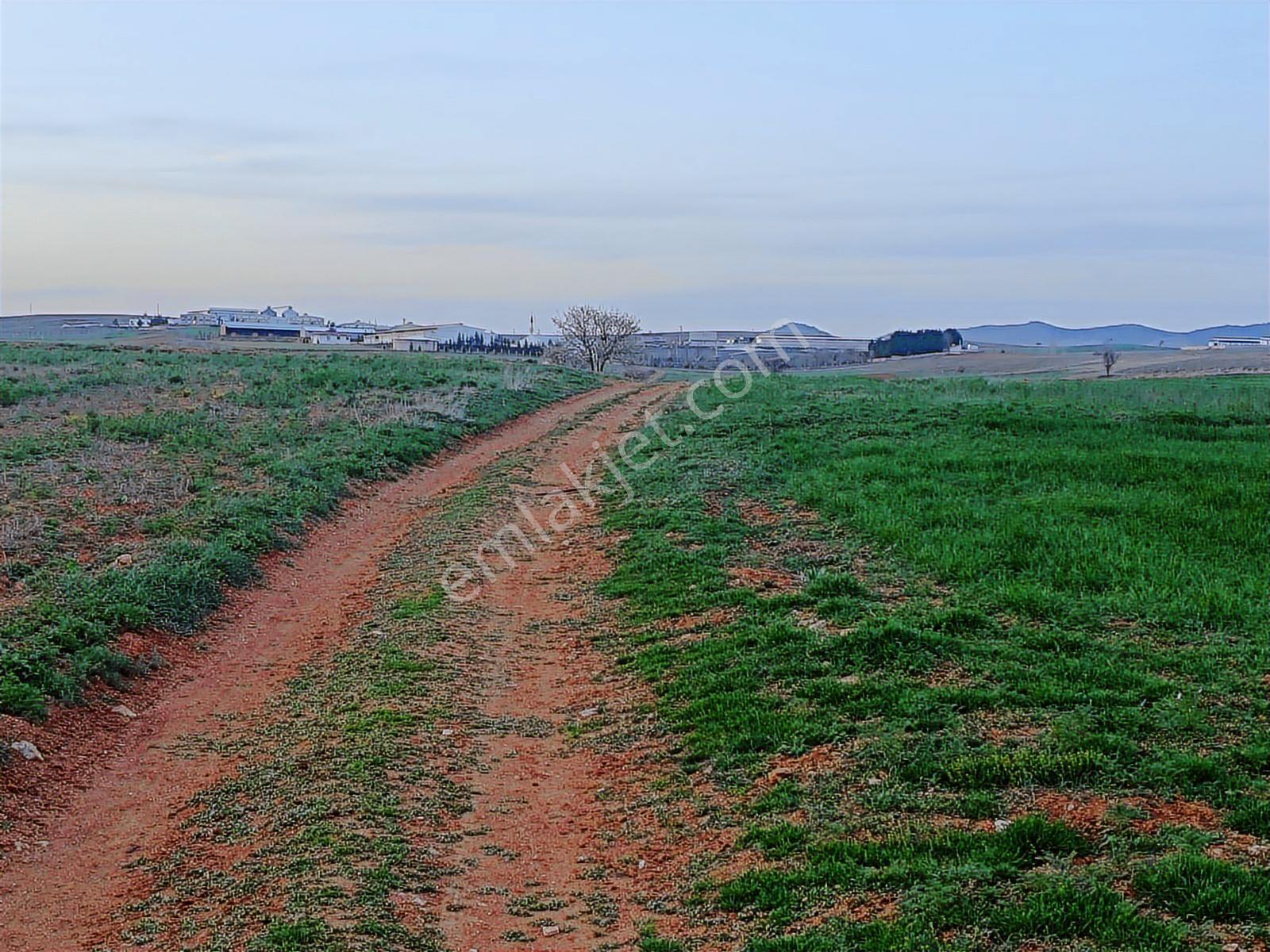 Afyon Merkez Çıkrık Beldesi Resmi Yola Cepheli 5991 Metre Tarla