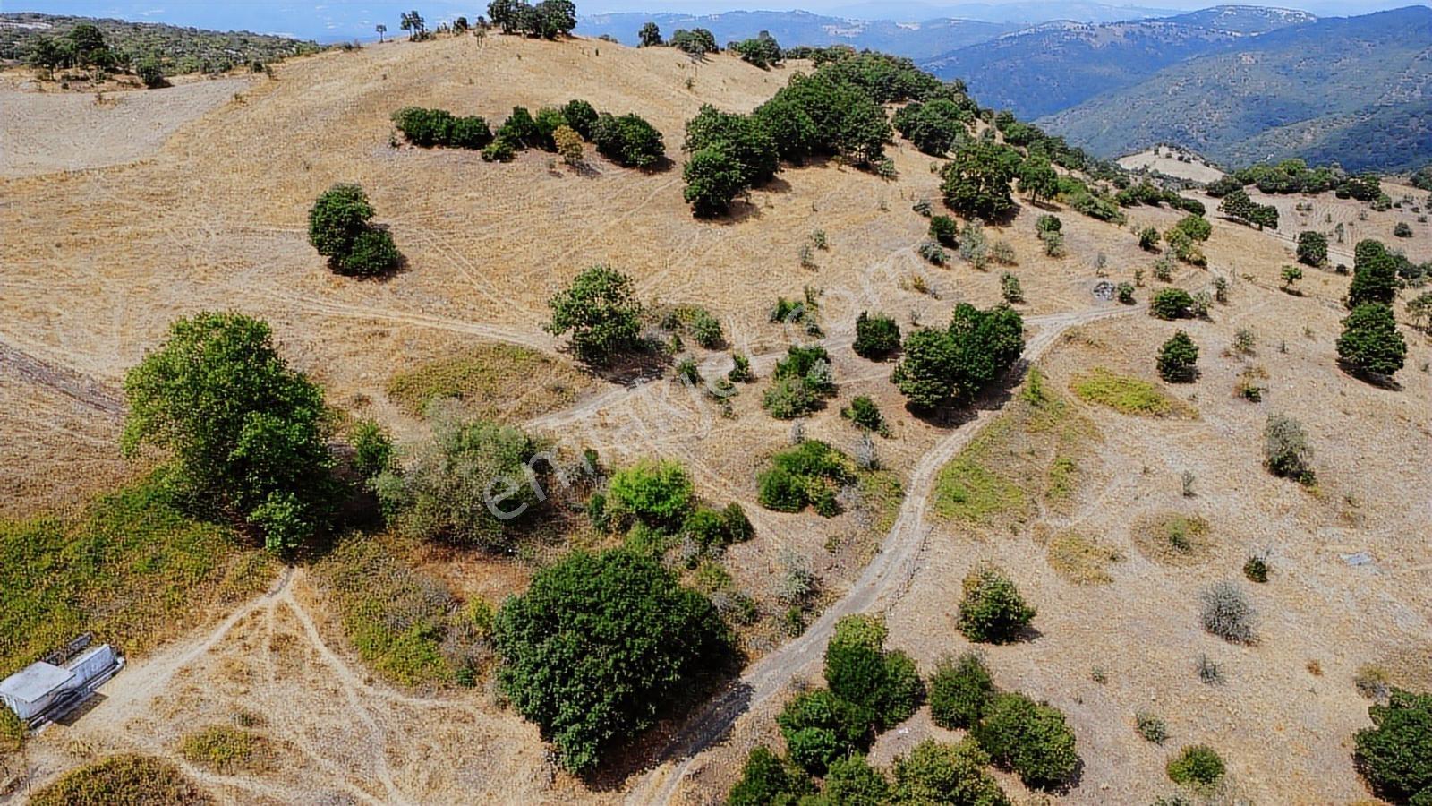 Çanakkale Çan Asmalı Resmi Yola Cepheli 2280 M2 Yapılara 800 Mt - Görsel 25