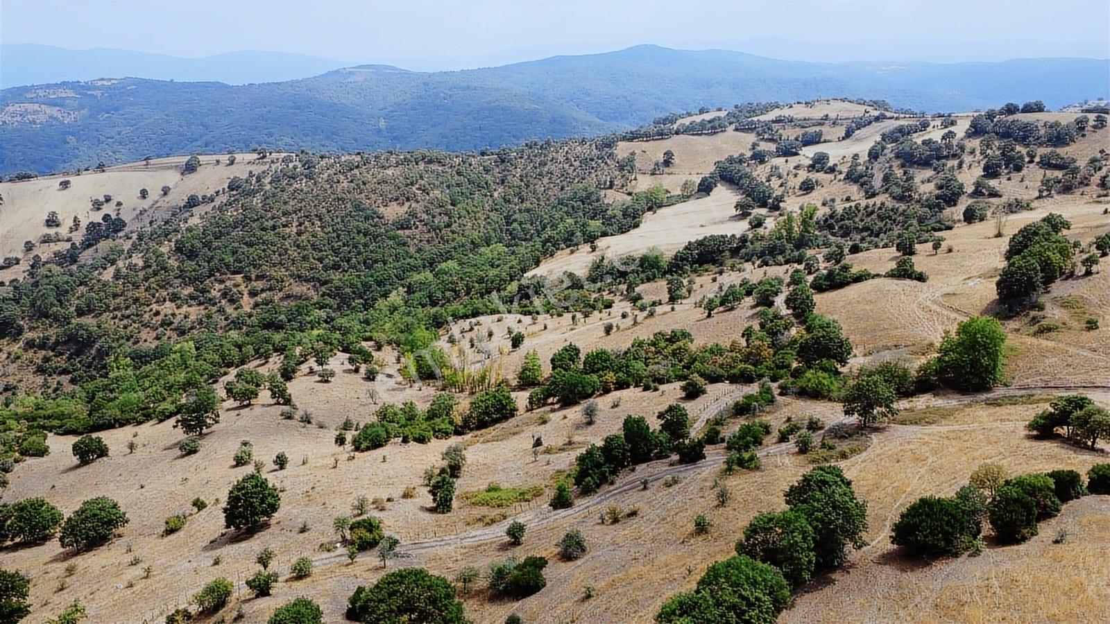 Çanakkale Çan Asmalı Resmi Yola Cepheli 2280 M2 Yapılara 800 Mt - Görsel 4