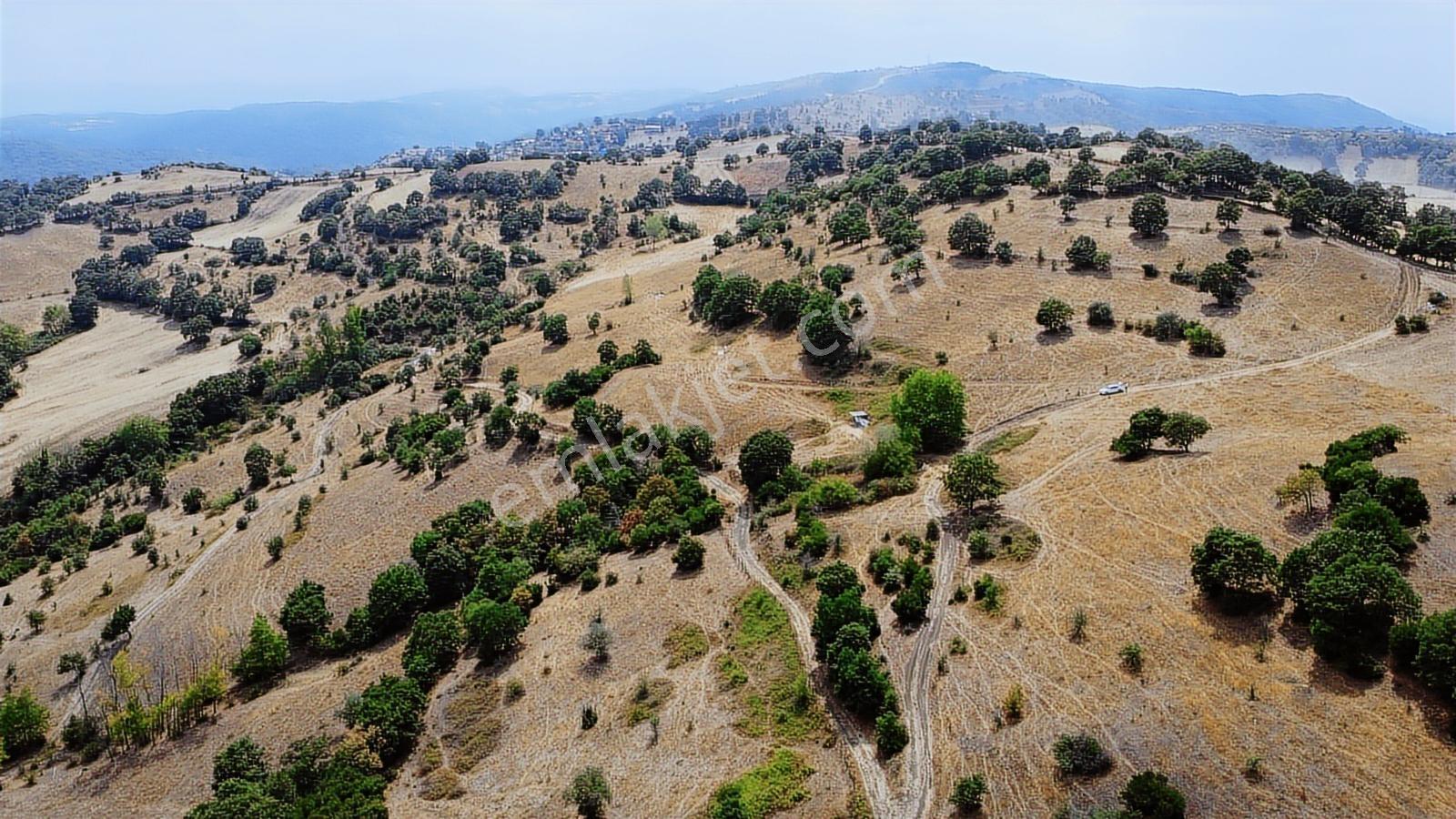 Çanakkale Çan Asmalı Resmi Yola Cepheli 2280 M2 Yapılara 800 Mt - Görsel 16
