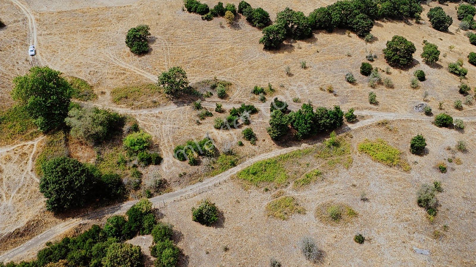 Çanakkale Çan Asmalı Resmi Yola Cepheli 2280 M2 Yapılara 800 Mt - Görsel 17