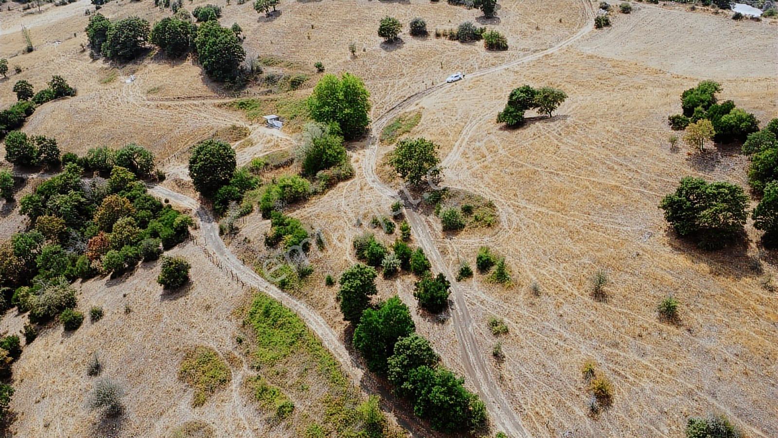 Çanakkale Çan Asmalı Resmi Yola Cepheli 2280 M2 Yapılara 800 Mt - Görsel 2