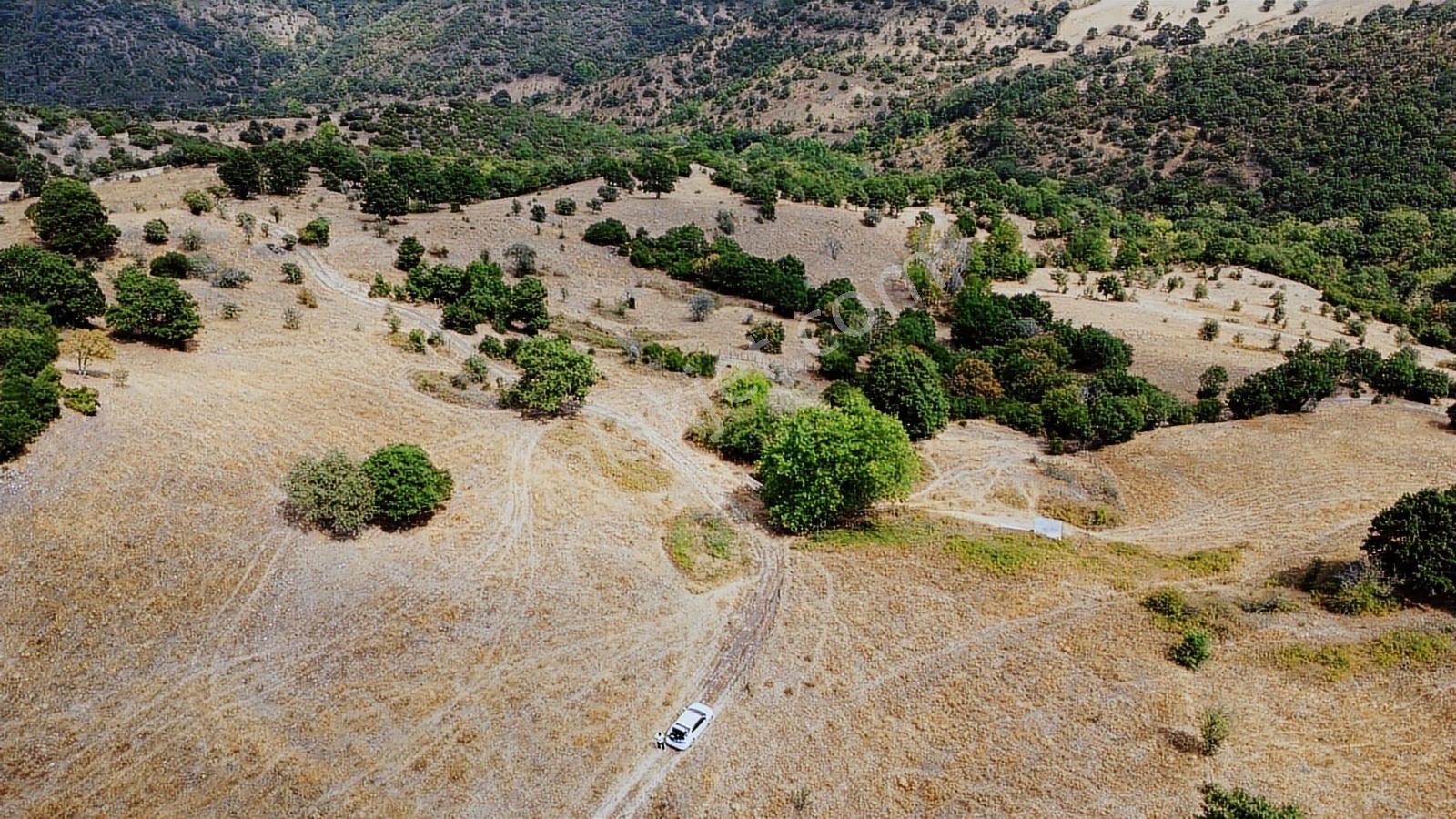Çanakkale Çan Asmalı Resmi Yola Cepheli 2280 M2 Yapılara 800 Mt - Görsel 19