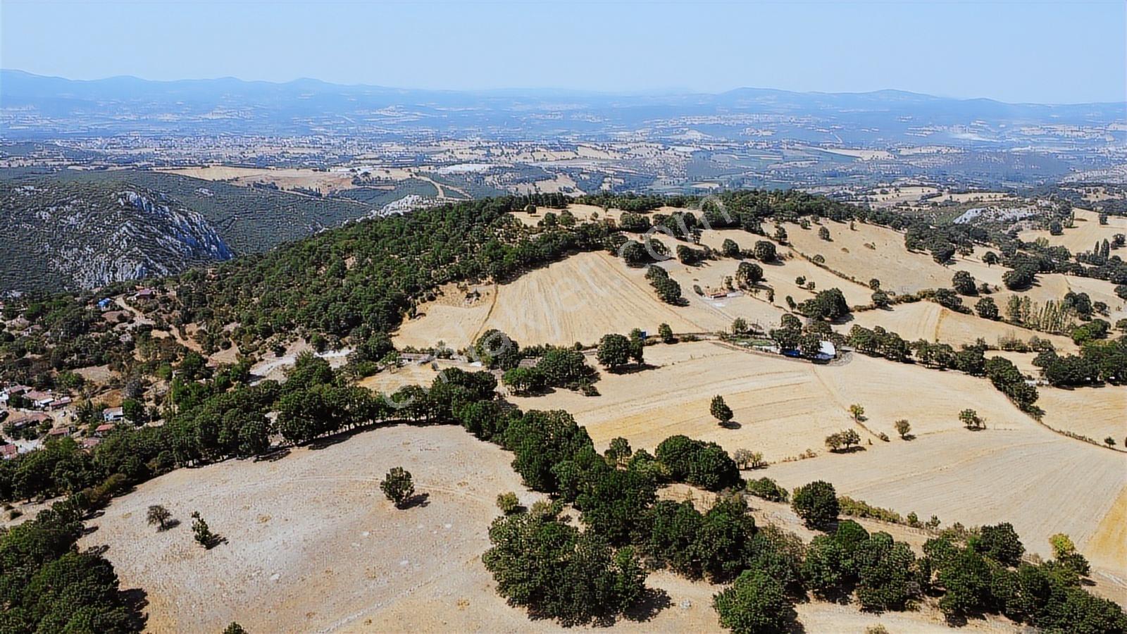 Balıkesir İvrindi Aşağı Kaleoba 2236m2 Köye 300 Metre Yola Cephe - Görsel 30