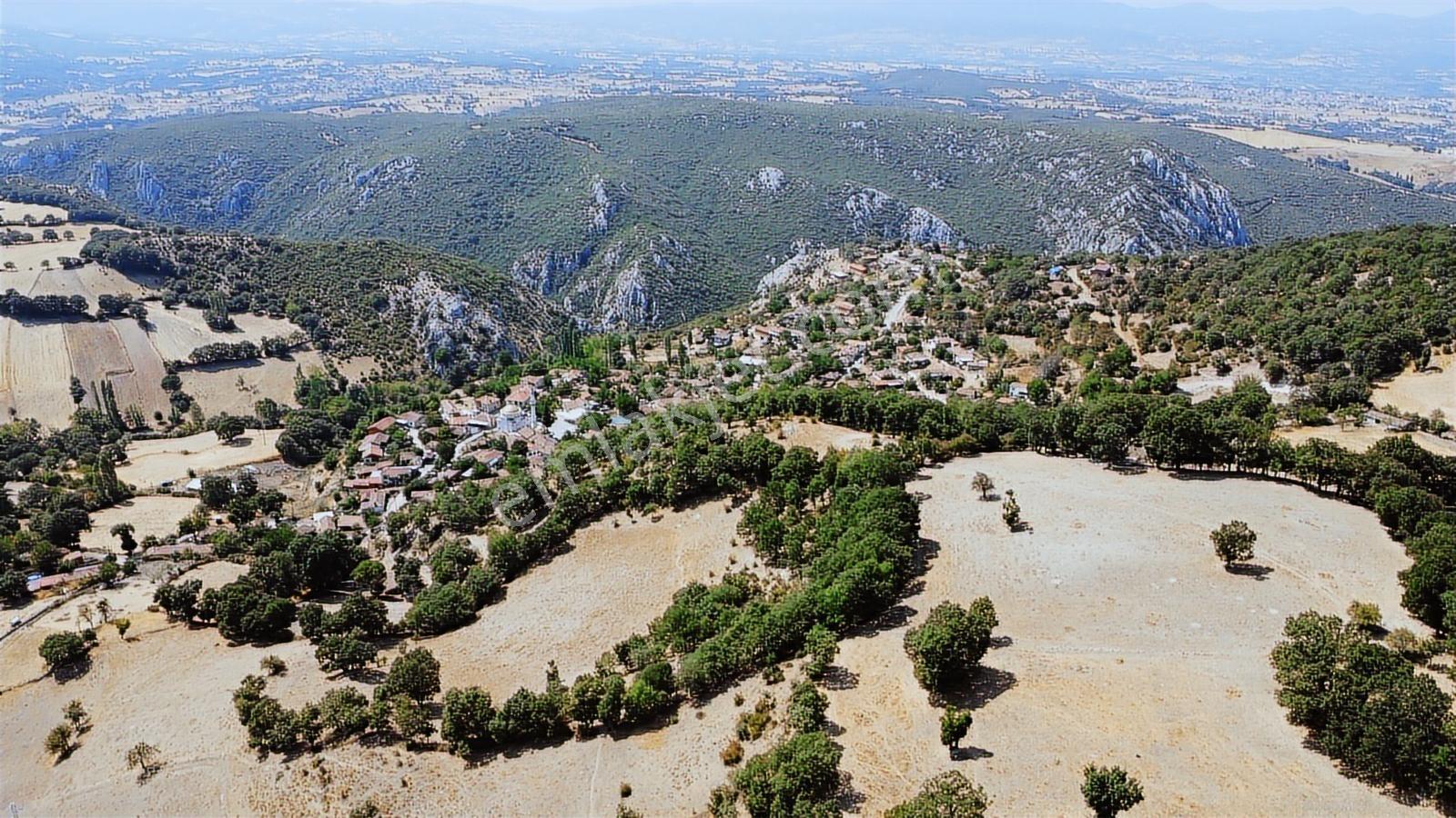 Balıkesir İvrindi Aşağı Kaleoba 2236m2 Köye 300 Metre Yola Cephe - Görsel 27