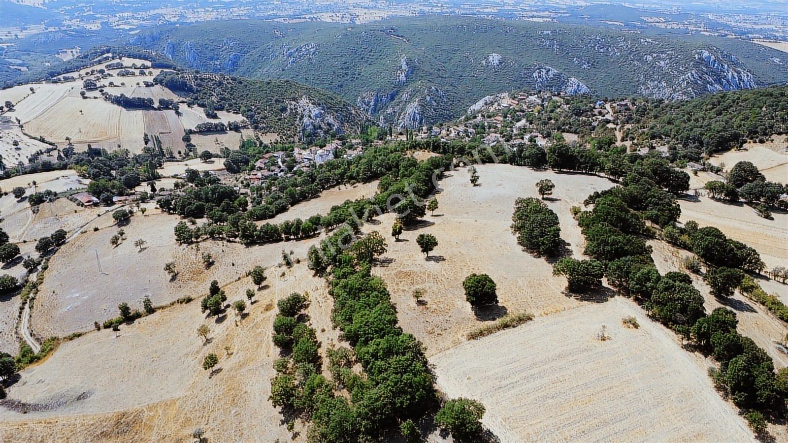 Balıkesir İvrindi Aşağı Kaleoba 2236m2 Köye 300 Metre Yola Cephe - Görsel 20