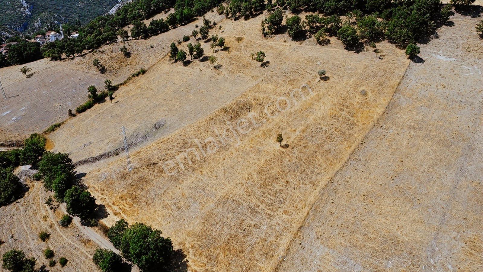 Balıkesir İvrindi Aşağı Kaleoba 2236m2 Köye 300 Metre Yola Cephe - Görsel 19