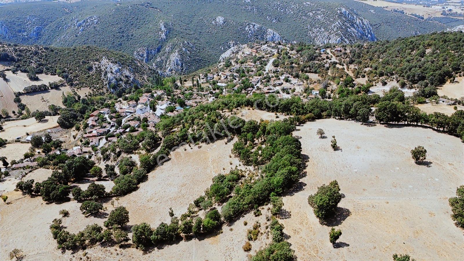 Balıkesir İvrindi Aşağı Kaleoba 2236m2 Köye 300 Metre Yola Cephe - Görsel 17