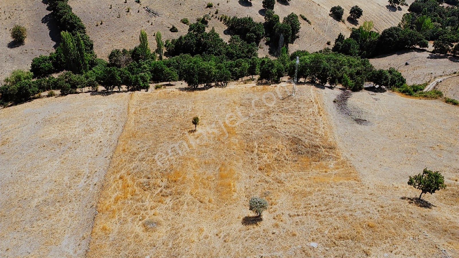 Balıkesir İvrindi Aşağı Kaleoba 2236m2 Köye 300 Metre Yola Cephe - Görsel 44