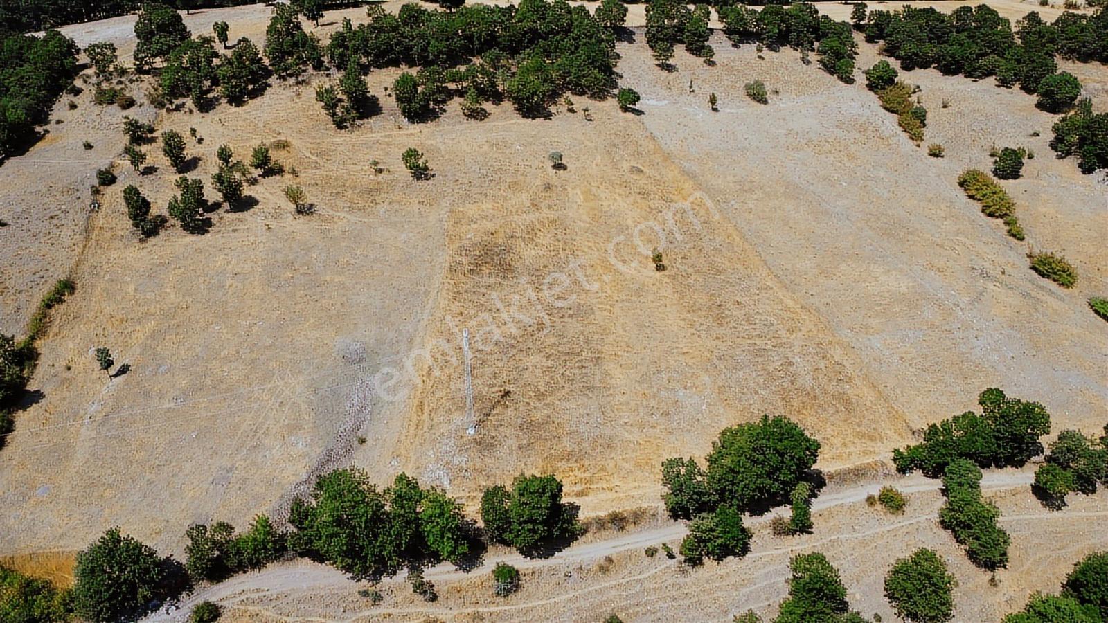 Balıkesir İvrindi Aşağı Kaleoba 2236m2 Köye 300 Metre Yola Cephe - Görsel 11