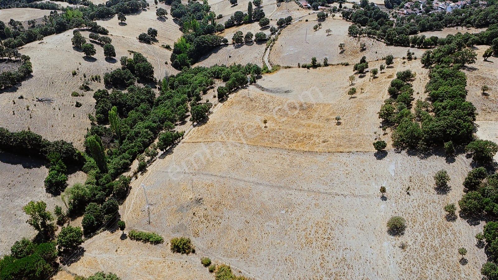 Balıkesir İvrindi Aşağı Kaleoba 2236m2 Köye 300 Metre Yola Cephe - Görsel 23