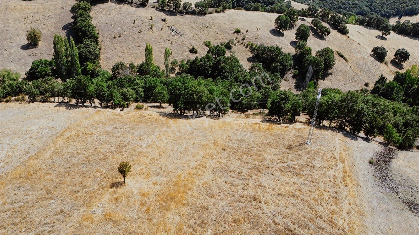 Balıkesir İvrindi Aşağı Kaleoba 2236m2 Köye 300 Metre Yola Cephe - Görsel 16