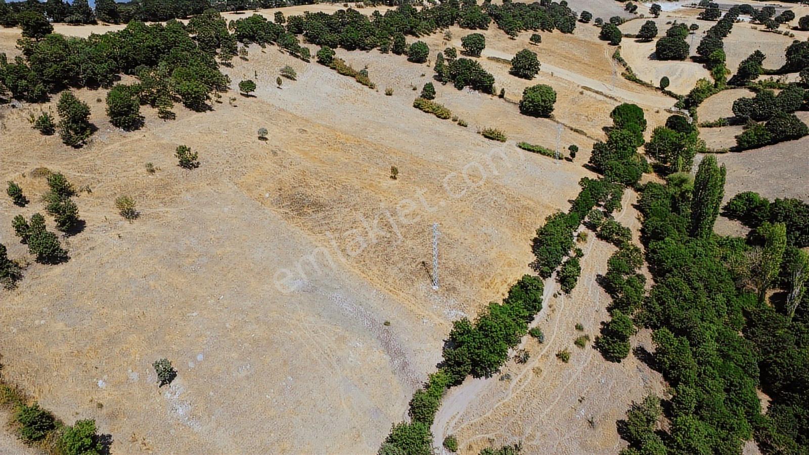 Balıkesir İvrindi Aşağı Kaleoba 2236m2 Köye 300 Metre Yola Cephe - Görsel 6