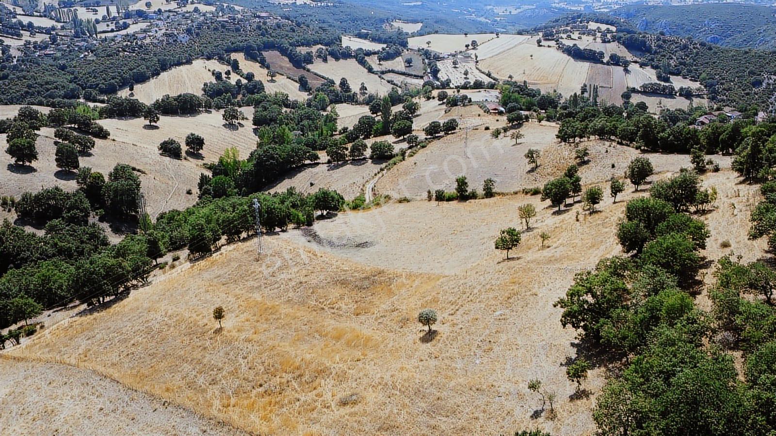 Balıkesir İvrindi Aşağı Kaleoba 2236m2 Köye 300 Metre Yola Cephe - Görsel 10