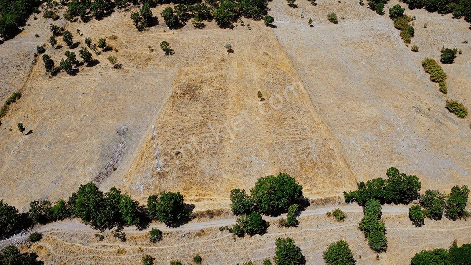 Balıkesir İvrindi Aşağı Kaleoba 2236m2 Köye 300 Metre Yola Cephe - Görsel 32