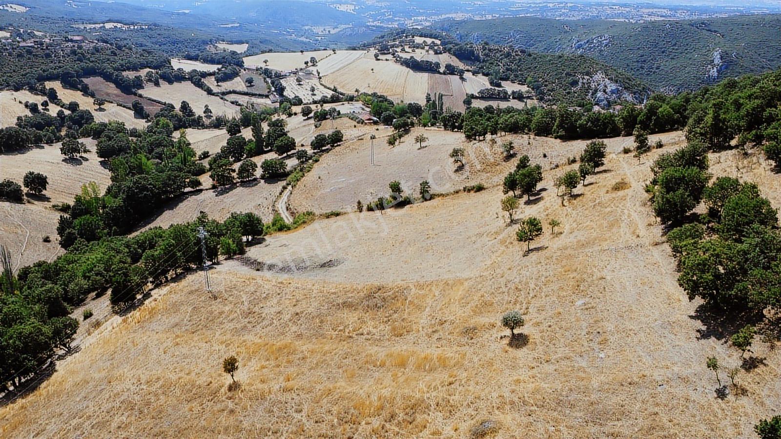 Balıkesir İvrindi Aşağı Kaleoba 2236m2 Köye 300 Metre Yola Cephe - Görsel 14